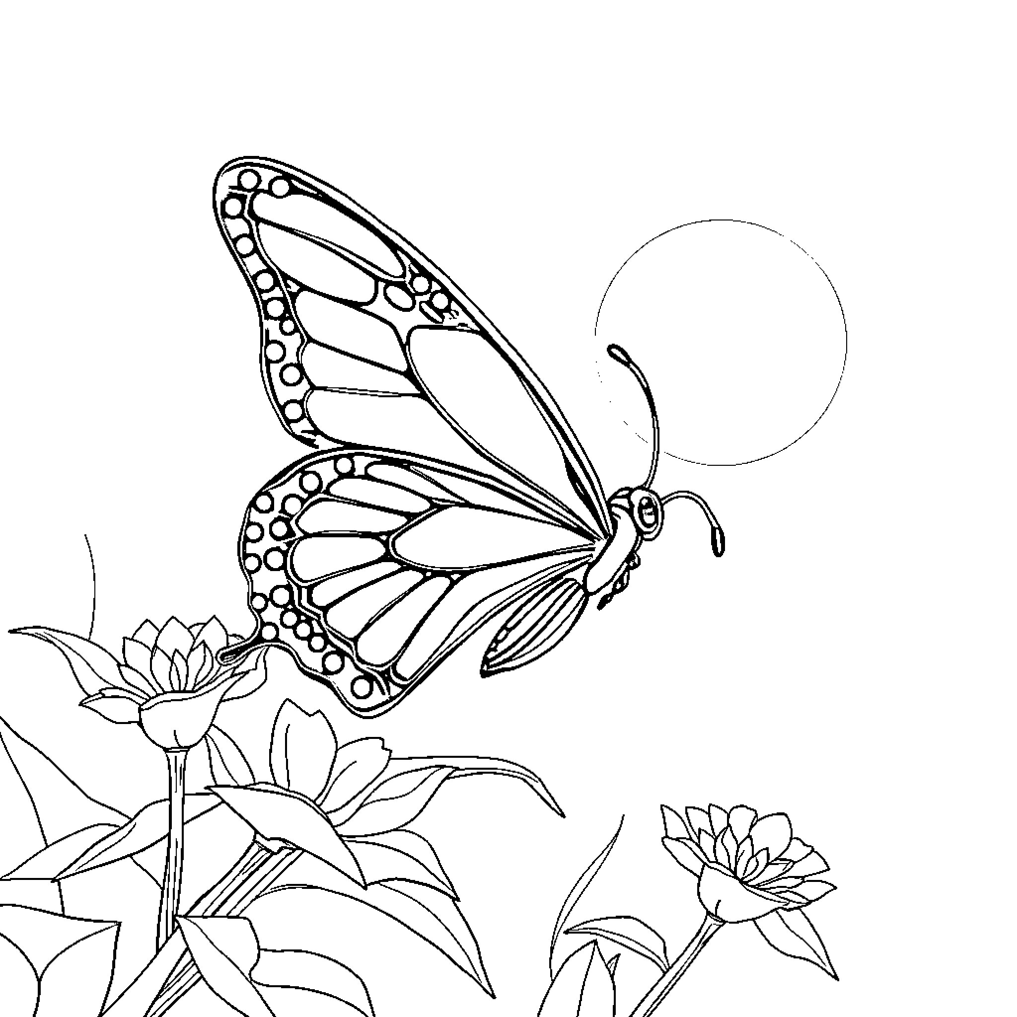 Butterfly floating gracefully near flowers Coloring Page (free black-and-white line drawing printable PDF for all, from beginners to advanced learners, including children, teens, adults, and seniors)