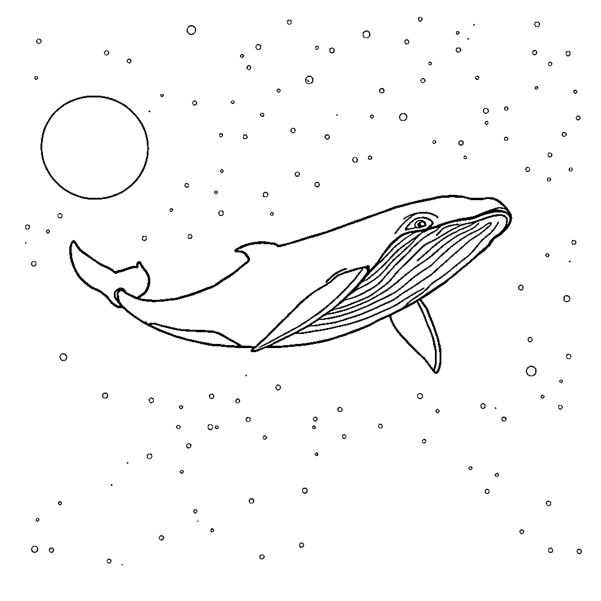 Whale swimming gracefully in the starry night Coloring Page (free black-and-white line drawing printable PDF for all, from beginners to advanced learners, including children, teens, adults, and seniors)