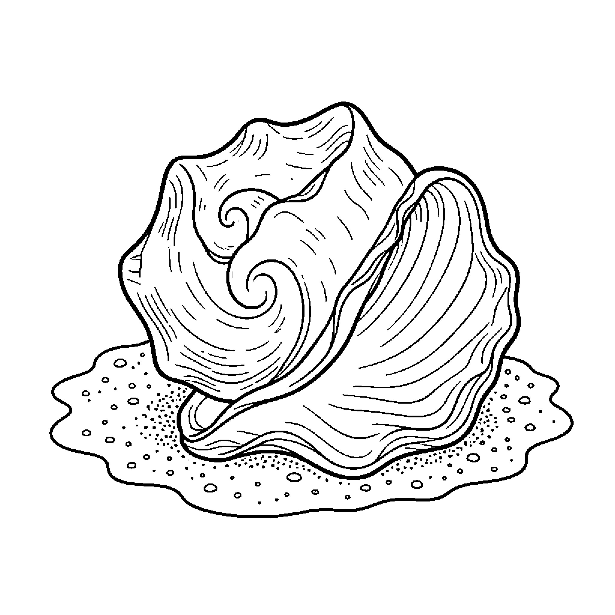 Coquillage resting peacefully on a sandy shore Coloring Page (free black-and-white line drawing printable PDF for all, from beginners to advanced learners, including children, teens, adults, and seniors)