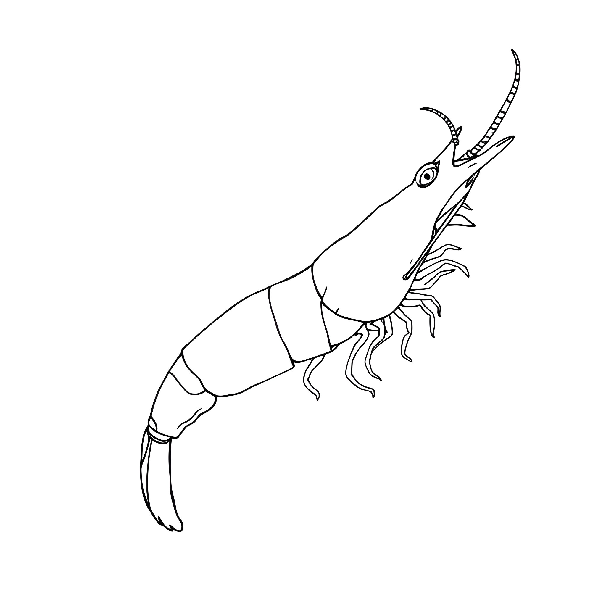 Shrimp swimming gracefully Coloring Page (free black-and-white line drawing printable PDF for all, from beginners to advanced learners, including children, teens, adults, and seniors)