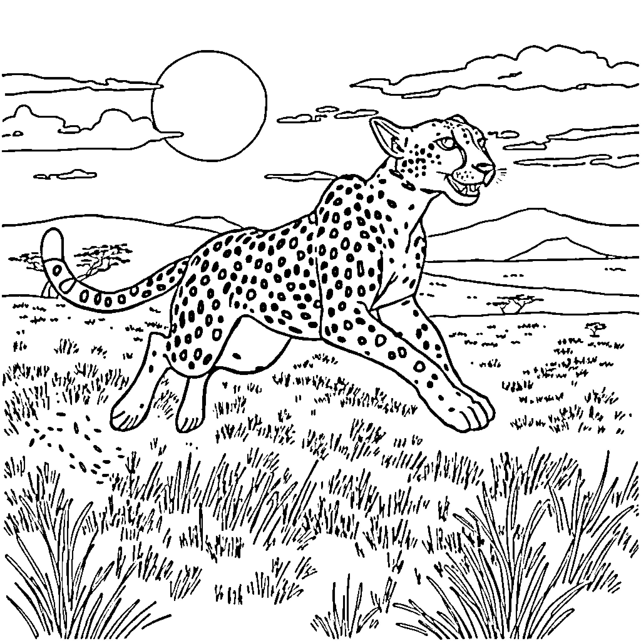 Cheetah running across the savannah Coloring Page (free black-and-white line drawing printable PDF for all, from beginners to advanced learners, including children, teens, adults, and seniors)