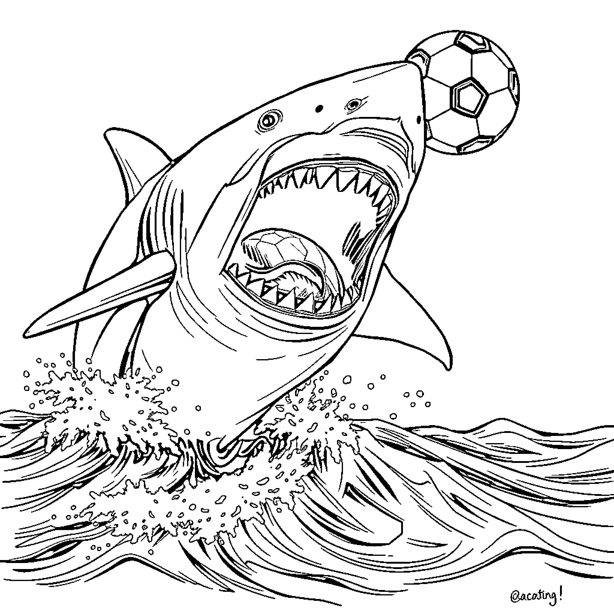 Megalodon predator hunting with soccer ball Coloring Page (free black-and-white line drawing printable PDF for all, from beginners to advanced learners, including children, teens, adults, and seniors)