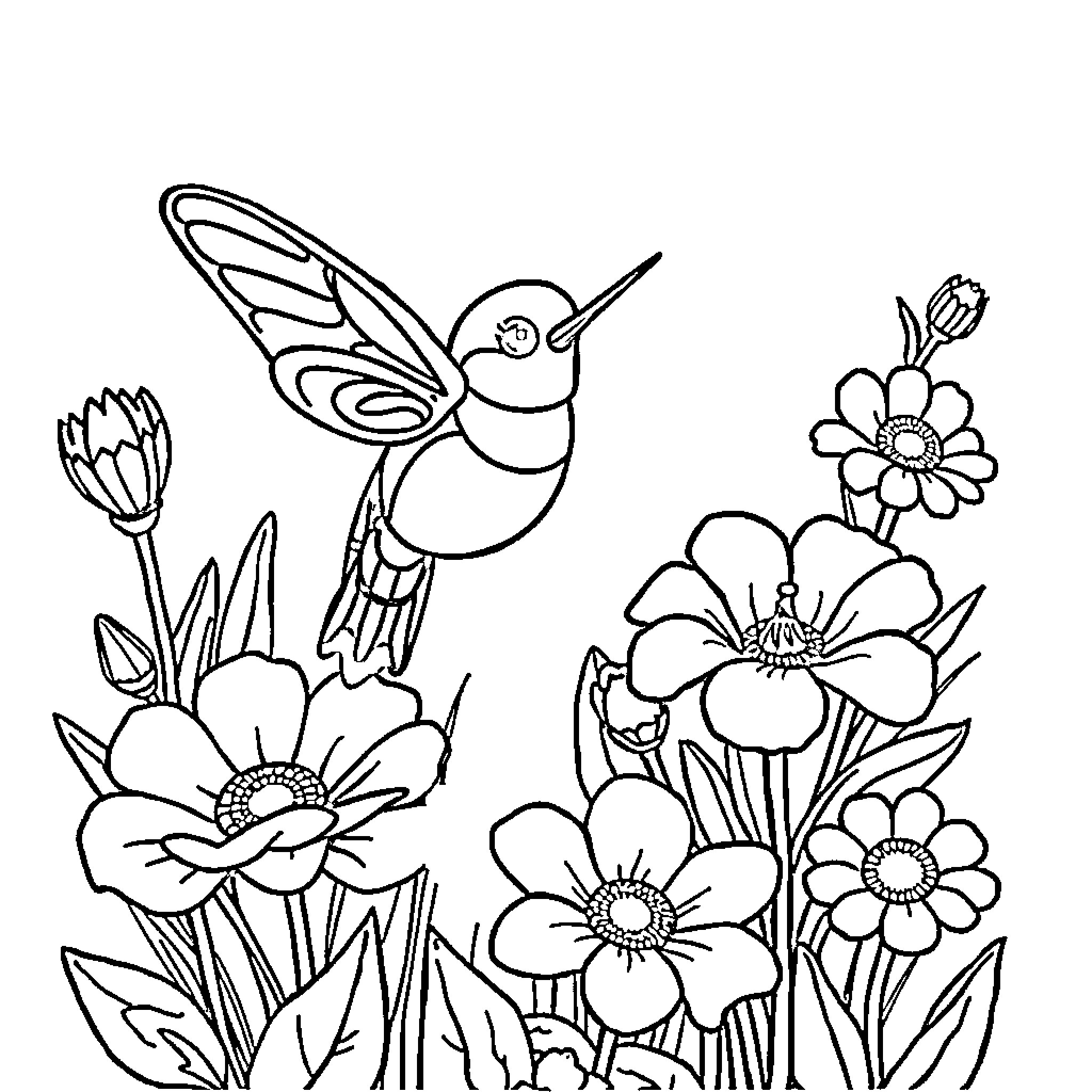 Hummingbird hovering among vibrant flowers Coloring Page (free black-and-white line drawing printable PDF for all, from beginners to advanced learners, including children, teens, adults, and seniors)