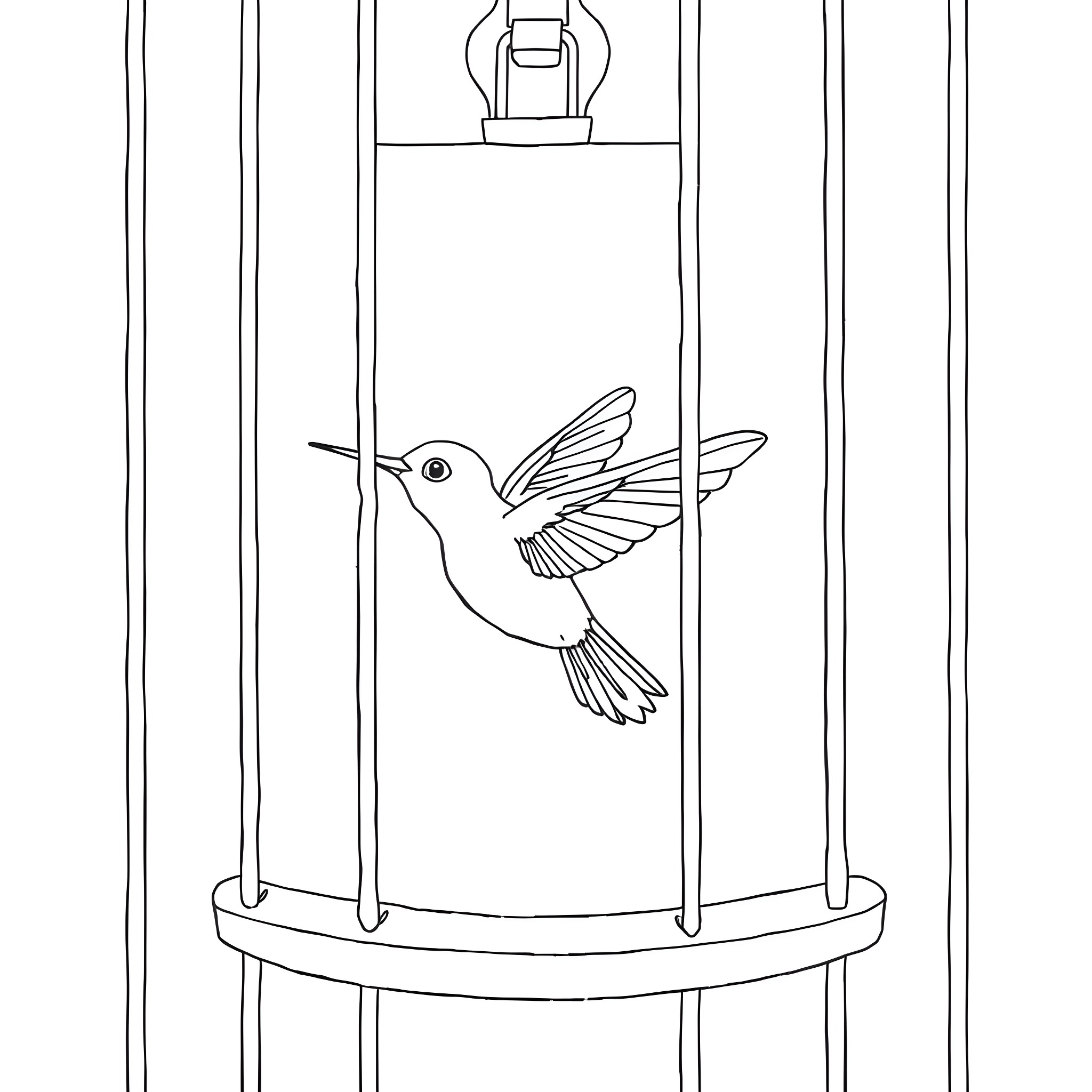 Hummingbird trapped in a cage Coloring Page (free black-and-white line drawing printable PDF for all, from beginners to advanced learners, including children, teens, adults, and seniors)