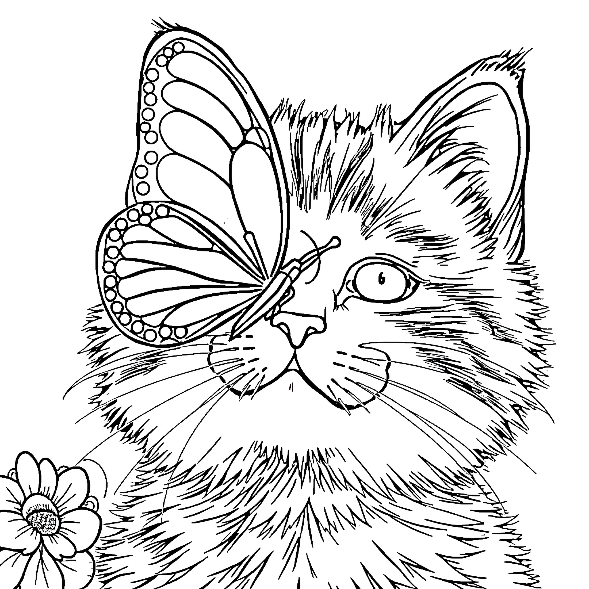 Butterfly-winged cat with flower Coloring Page (free black-and-white line drawing printable PDF for all, from beginners to advanced learners, including children, teens, adults, and seniors)