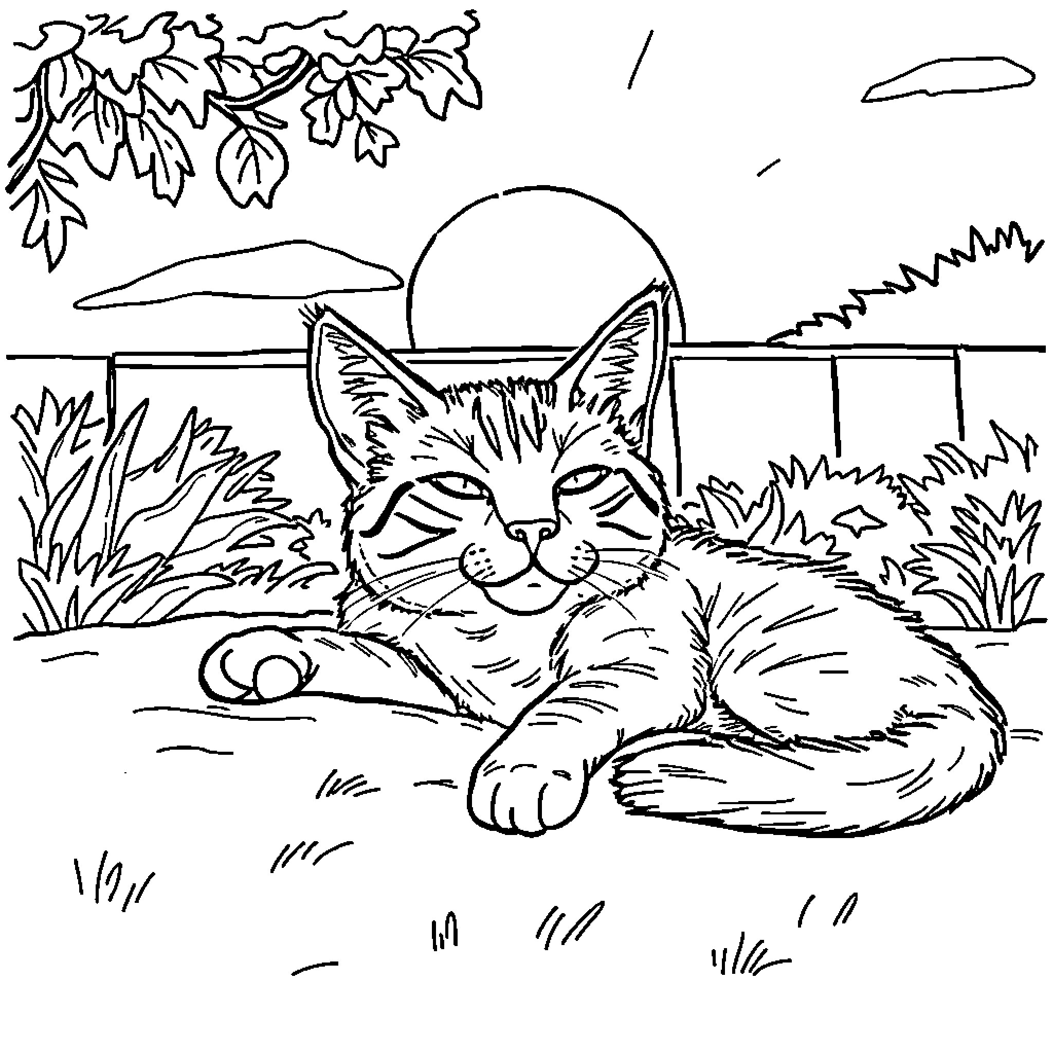 Cat resting in natural landscape Coloring Page (free black-and-white line drawing printable PDF for all, from beginners to advanced learners, including children, teens, adults, and seniors)