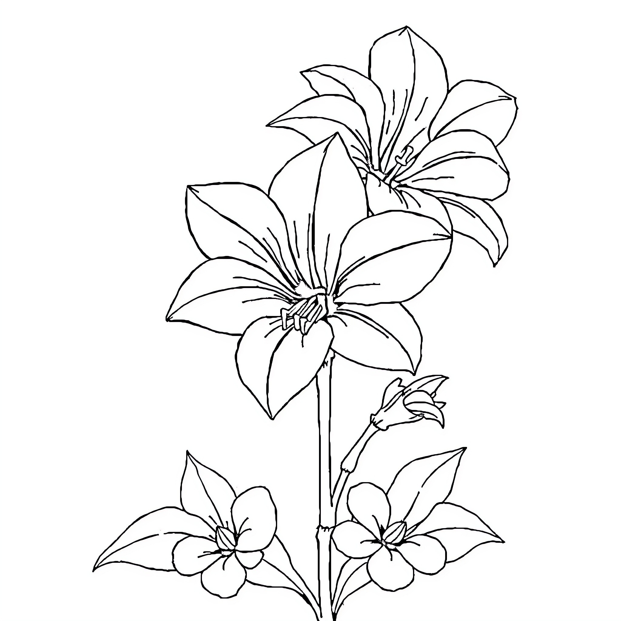 Labubu's Floral Elegance Coloring Page (free black-and-white line drawing printable PDF for all, from beginners to advanced learners, including children, teens, adults, and seniors)