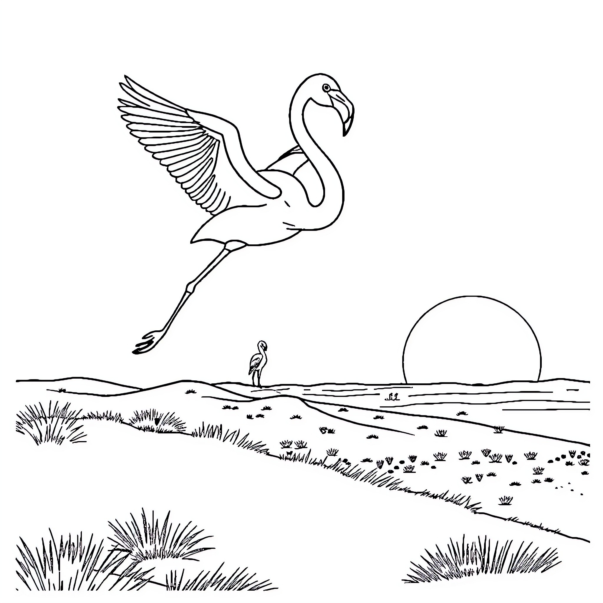 Flamingo gracefully wading through serene landscape Coloring Page (free black-and-white line drawing printable PDF for all, from beginners to advanced learners, including children, teens, adults, and seniors)
