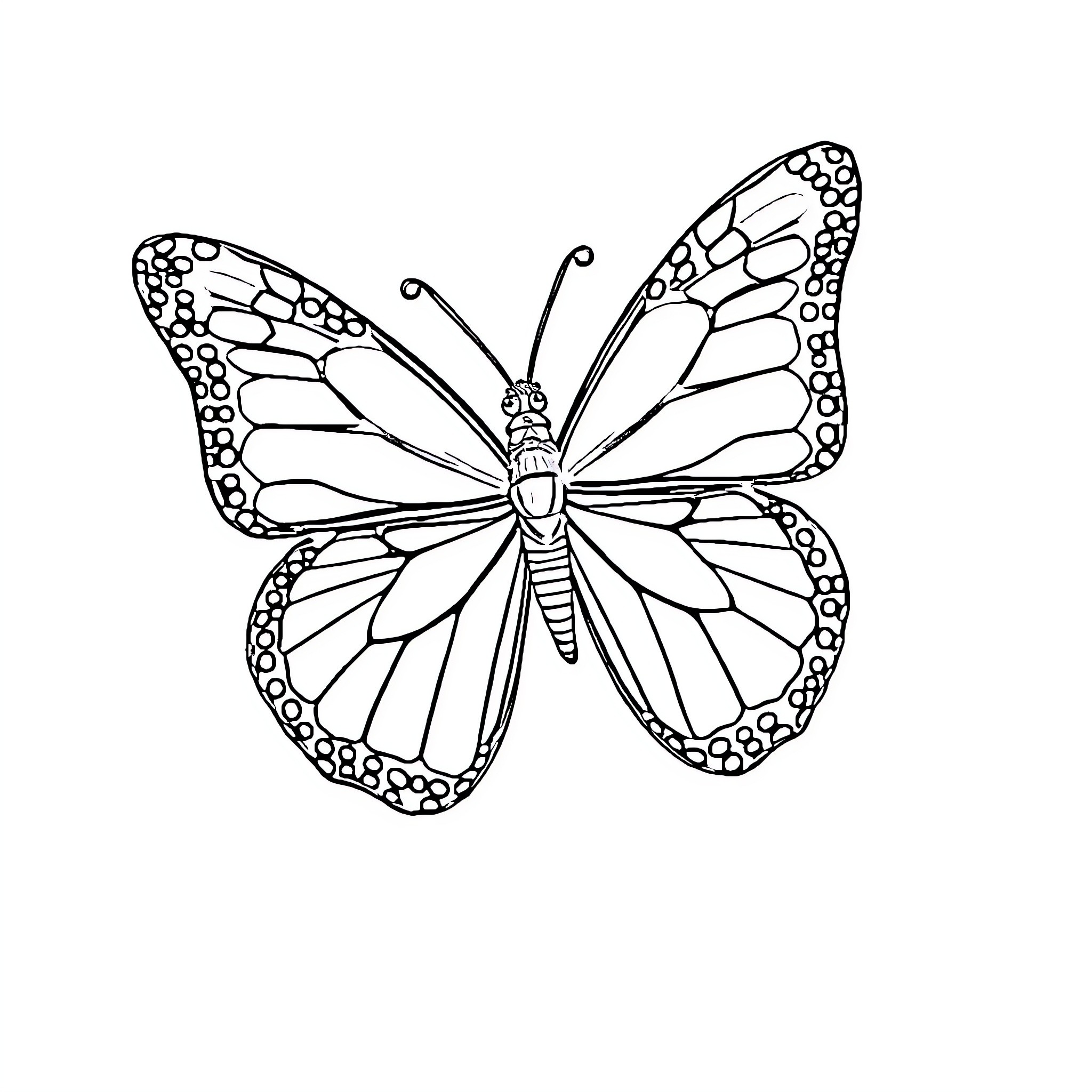 Butterfly with intricate wing patterns Coloring Page (free black-and-white line drawing printable PDF for all, from beginners to advanced learners, including children, teens, adults, and seniors)