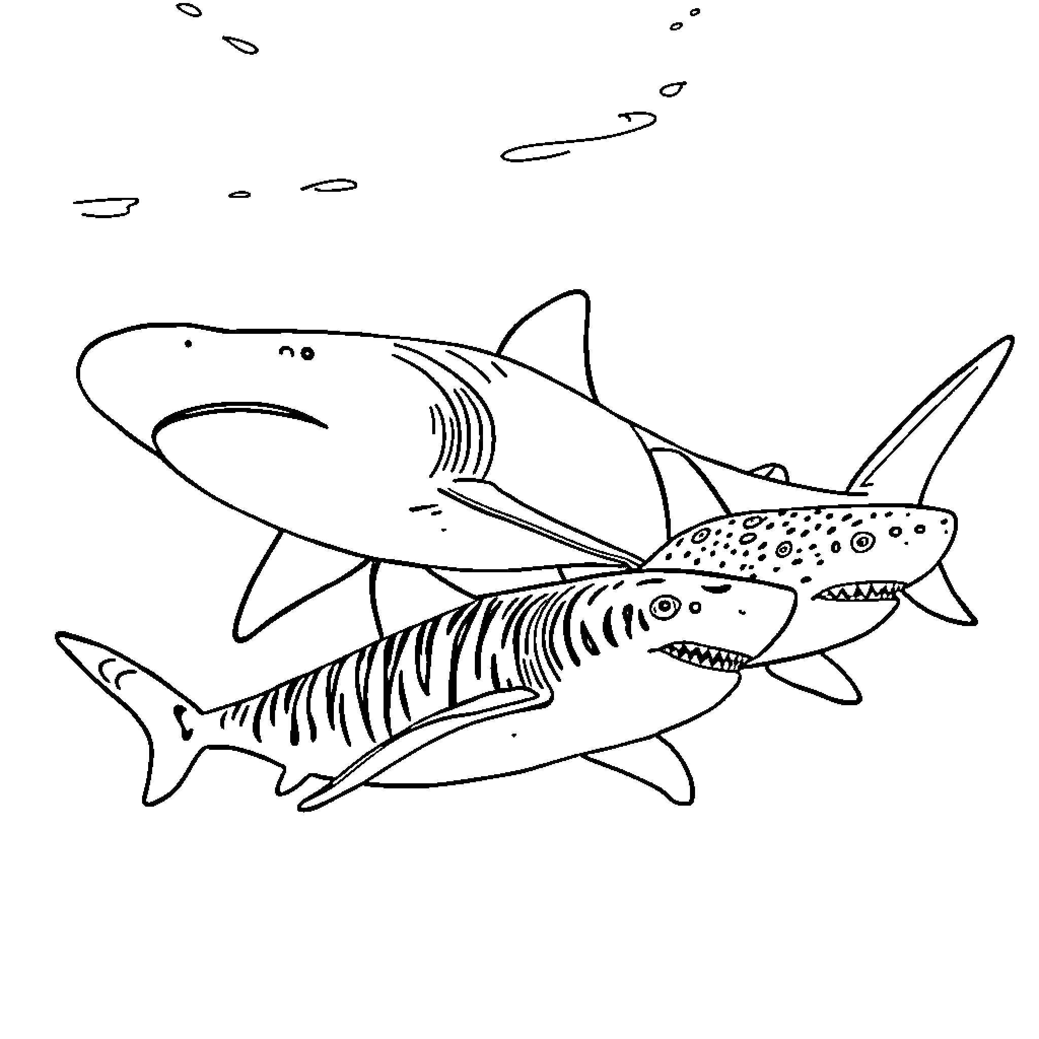 Shark feeding frenzy in the ocean Coloring Page (free black-and-white line drawing printable PDF for all, from beginners to advanced learners, including children, teens, adults, and seniors)