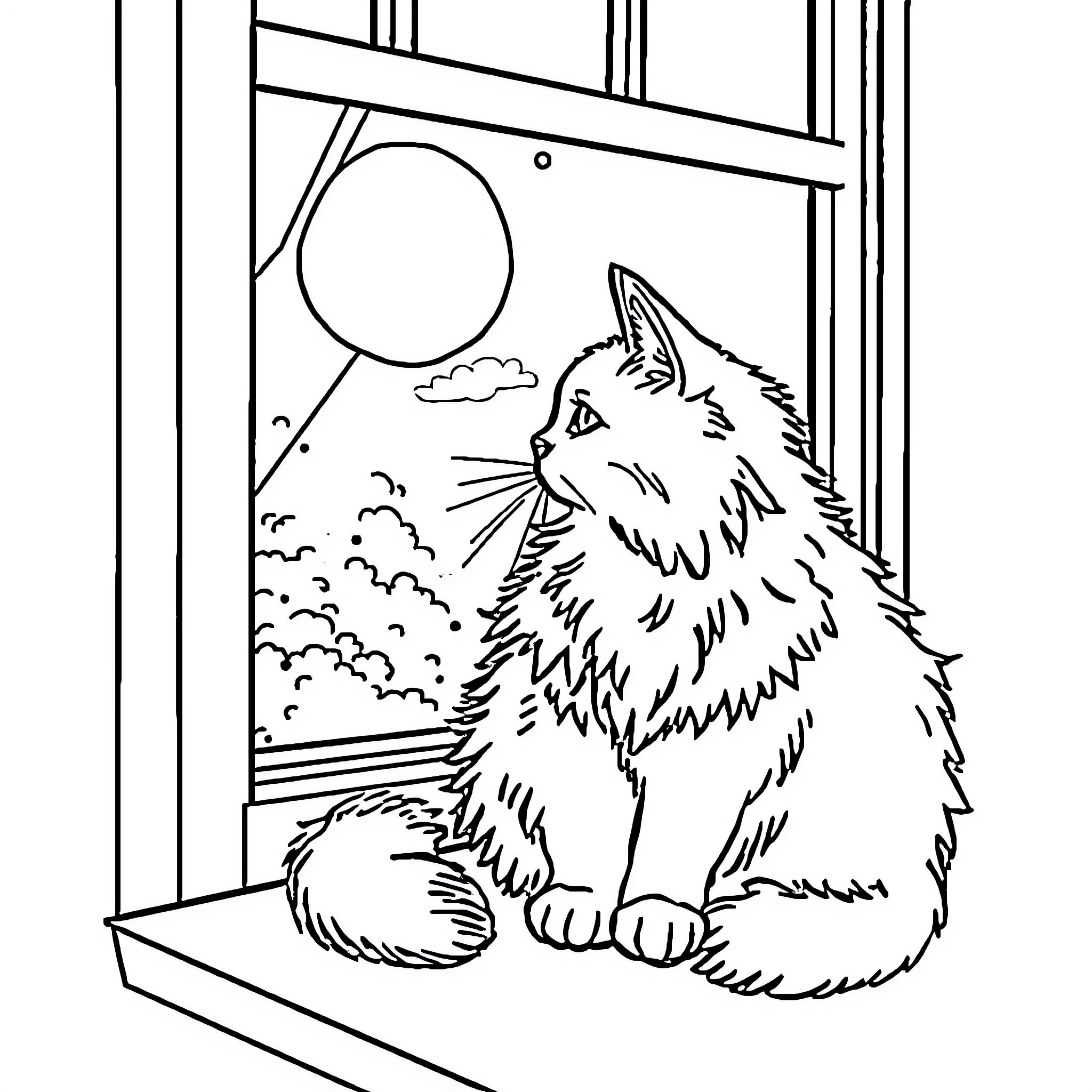 Cat gazing out the window at the night sky Coloring Page (free black-and-white line drawing printable PDF for all, from beginners to advanced learners, including children, teens, adults, and seniors)