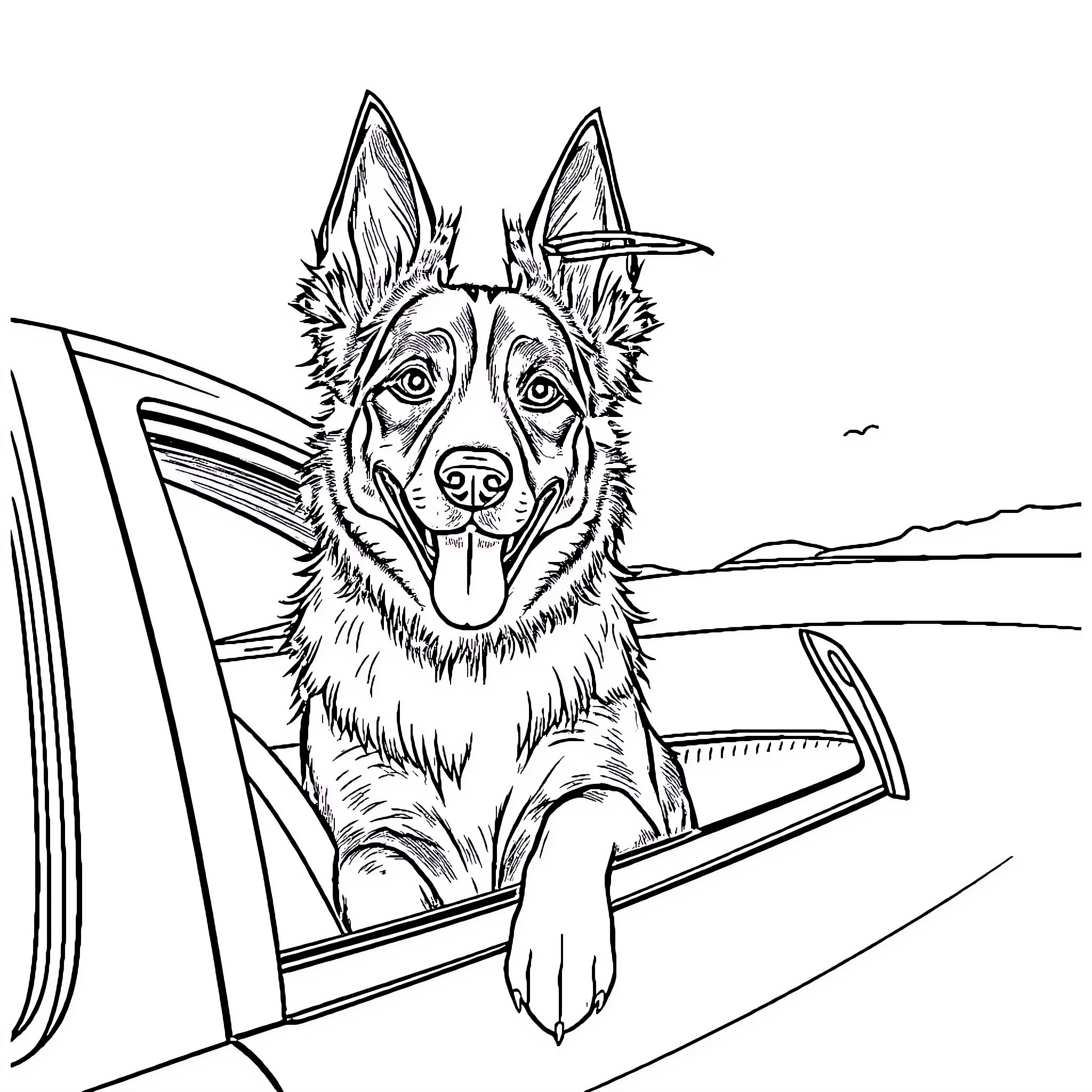 Heeler dog sticking head out of car window Coloring Page (free black-and-white line drawing printable PDF for all, from beginners to advanced learners, including children, teens, adults, and seniors)