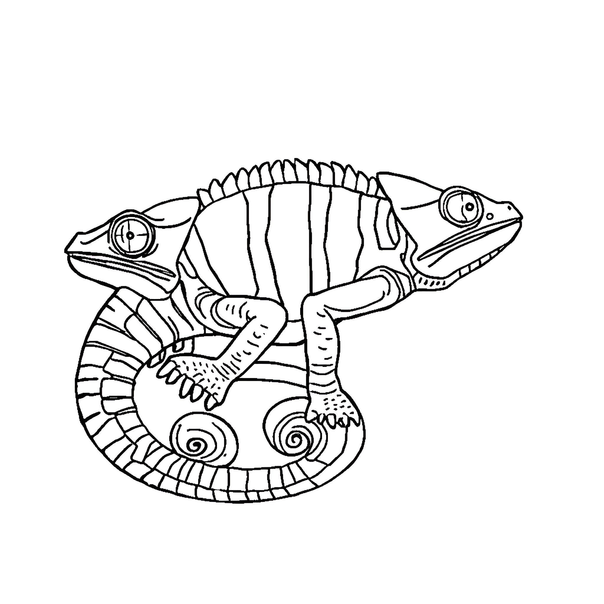 Chameleon with intricate body markings Coloring Page (free black-and-white line drawing printable PDF for all, from beginners to advanced learners, including children, teens, adults, and seniors)