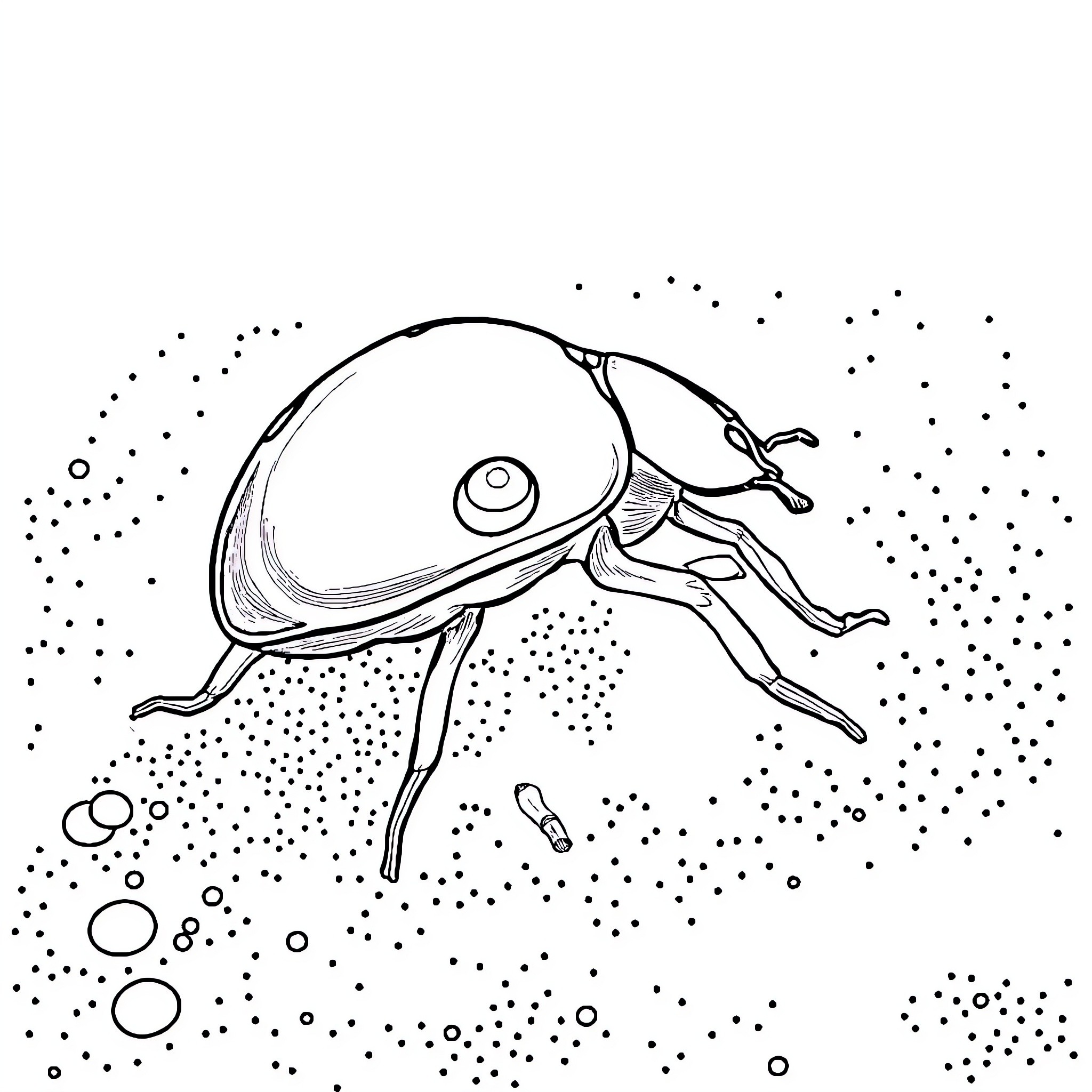 Ladybug crawling through a starry sky Coloring Page (free black-and-white line drawing printable PDF for all, from beginners to advanced learners, including children, teens, adults, and seniors)