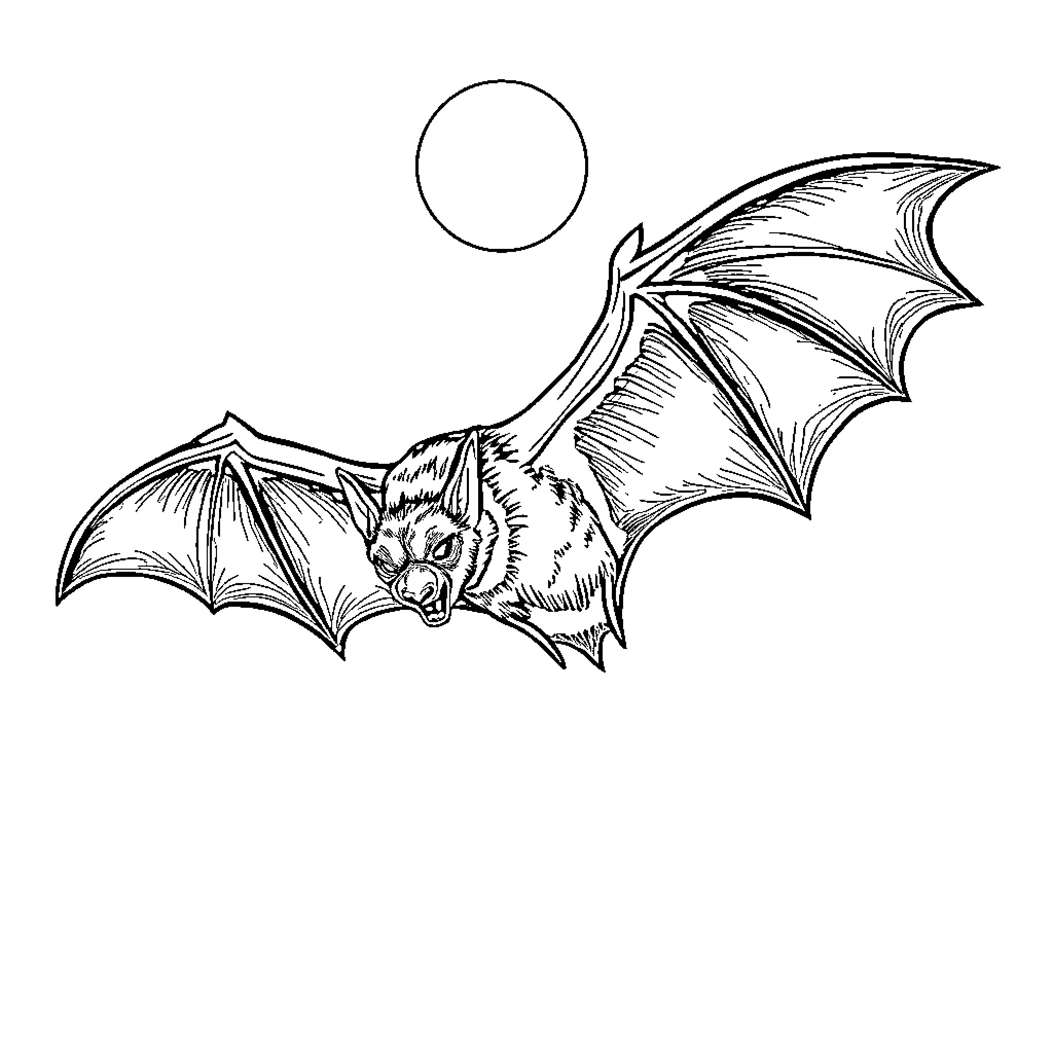 Vampire Bat Soaring Under the Moon Coloring Page (free black-and-white line drawing printable PDF for all, from beginners to advanced learners, including children, teens, adults, and seniors)