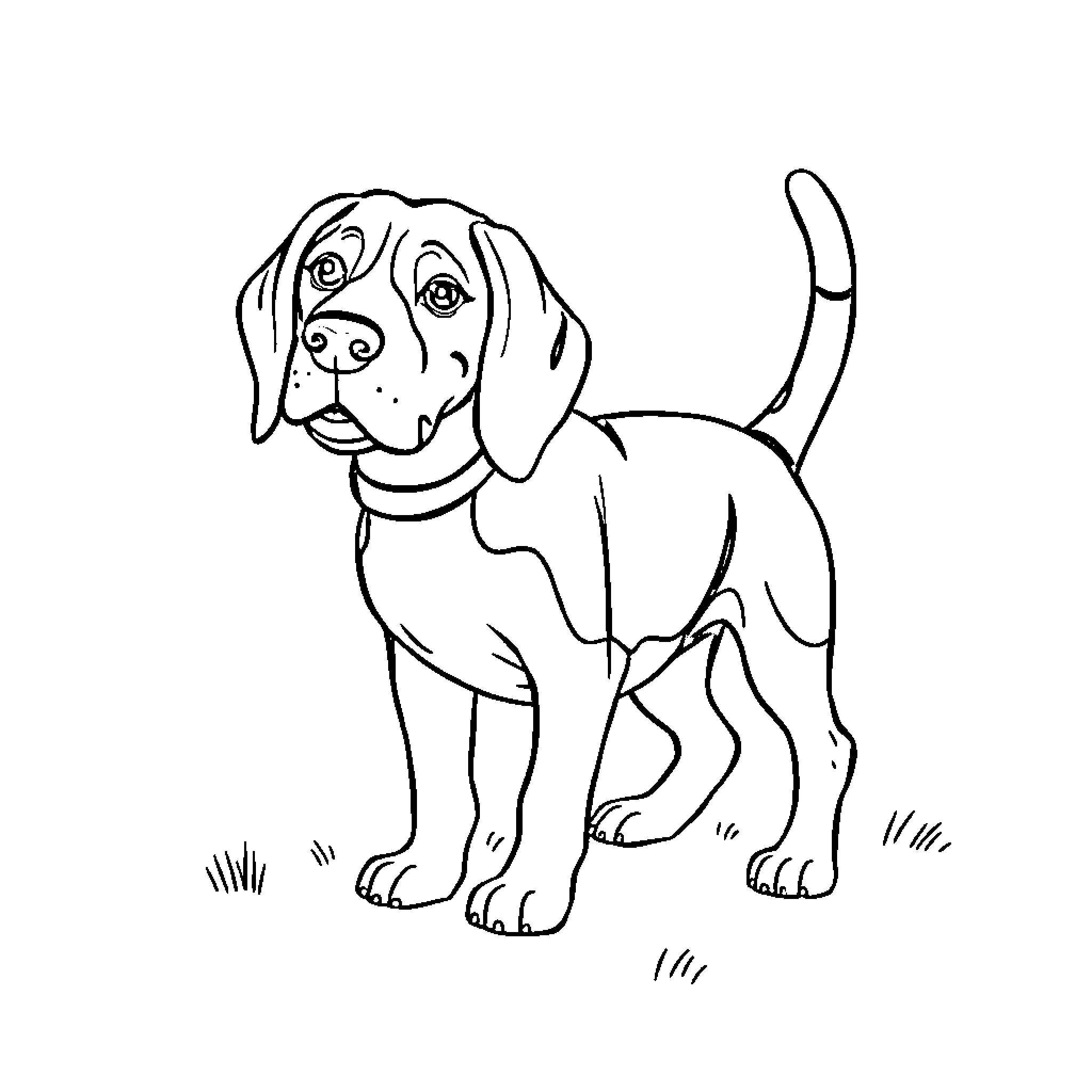 Beagle pup standing in a field Coloring Page (free black-and-white line drawing printable PDF for all, from beginners to advanced learners, including children, teens, adults, and seniors)