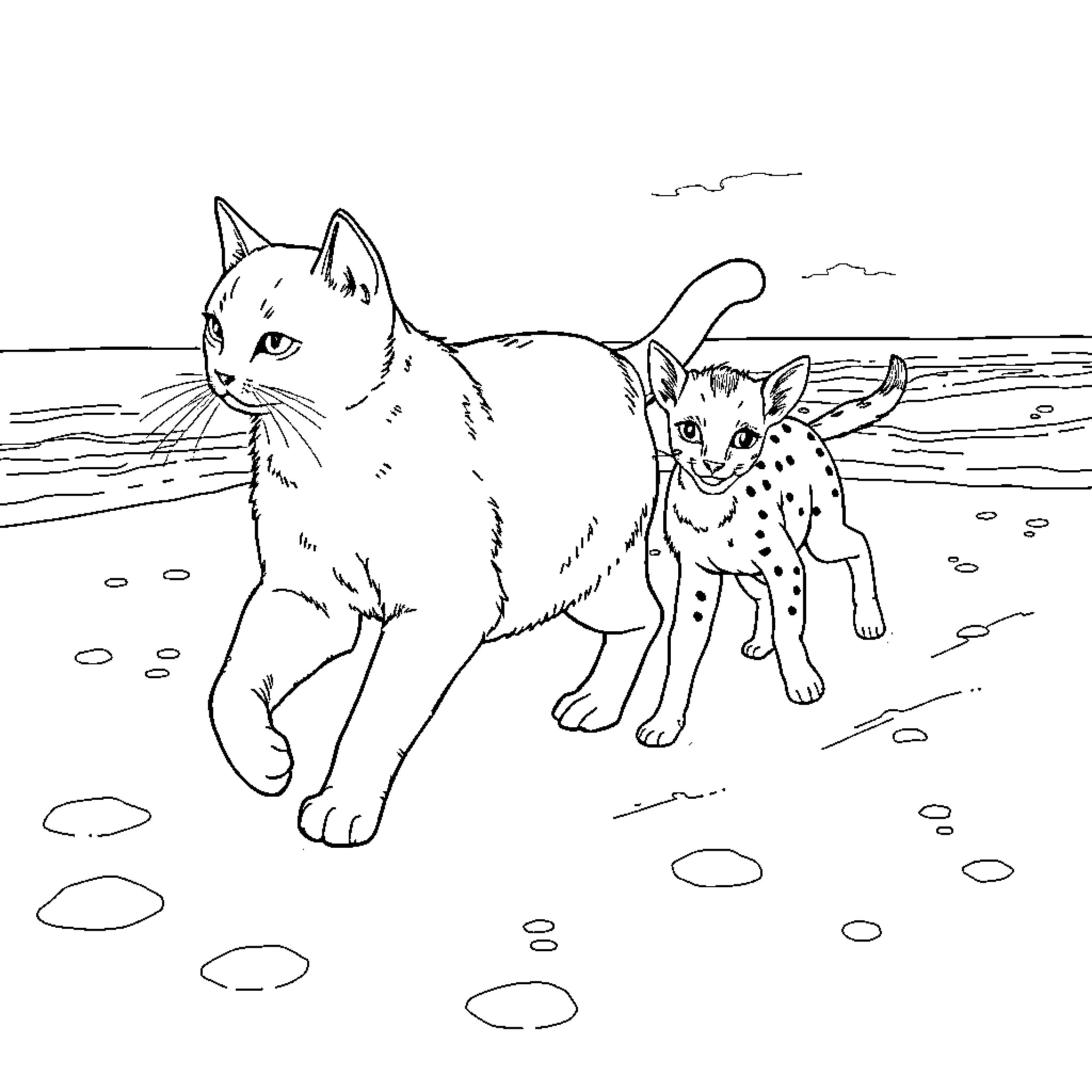 Cats on the Beach Coloring Page (free black-and-white line drawing printable PDF for all, from beginners to advanced learners, including children, teens, adults, and seniors)