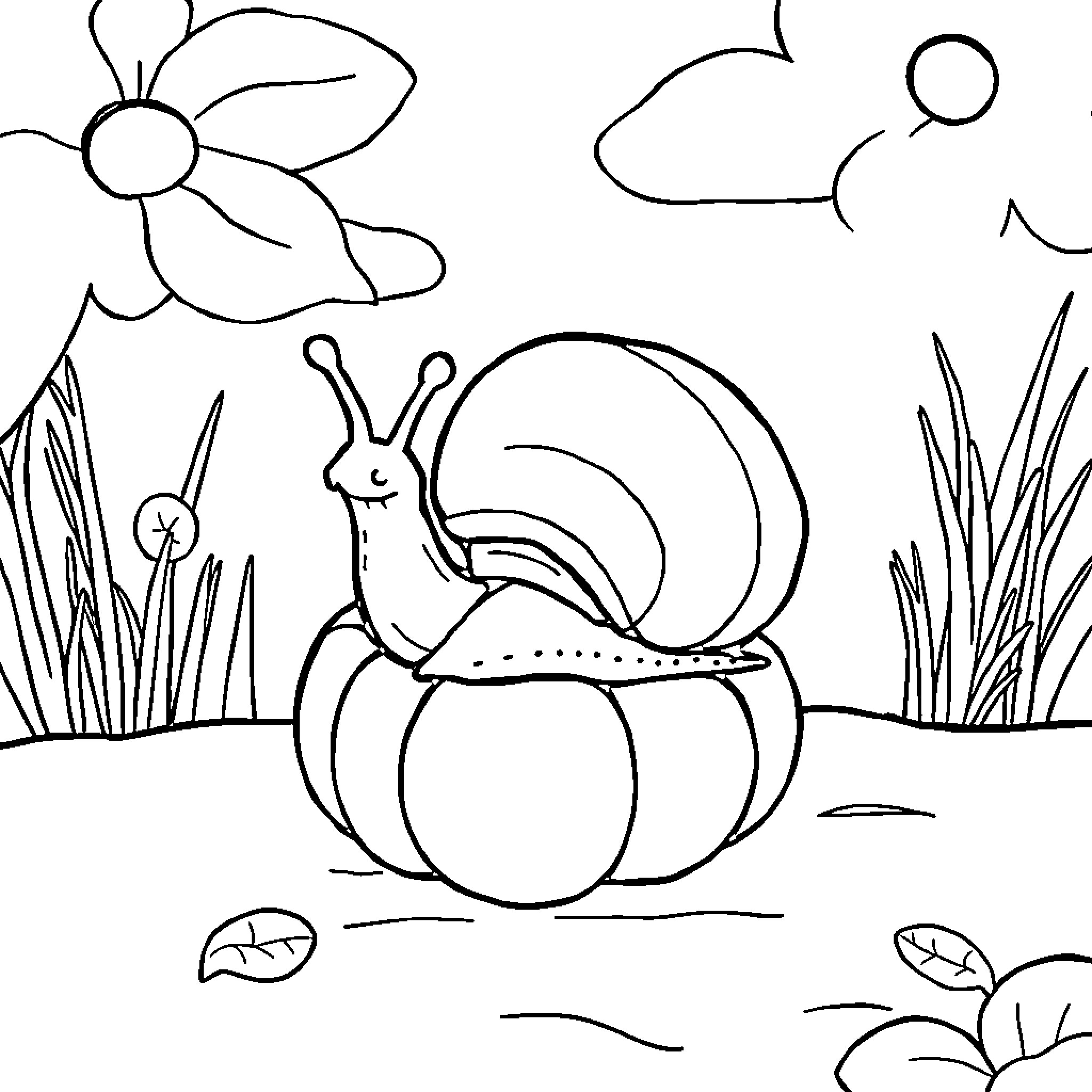 Snail crawling amidst flowers and foliage Coloring Page (free black-and-white line drawing printable PDF for all, from beginners to advanced learners, including children, teens, adults, and seniors)