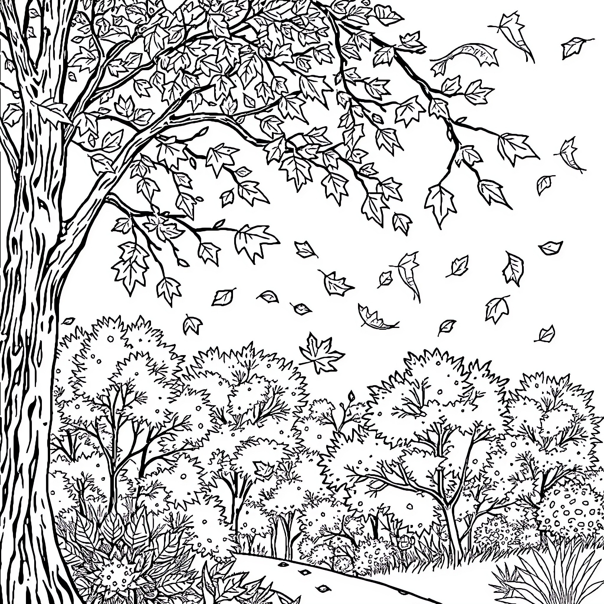 Fall foliage blowing in the wind Coloring Page (free black-and-white line drawing printable PDF for all, from beginners to advanced learners, including children, teens, adults, and seniors)