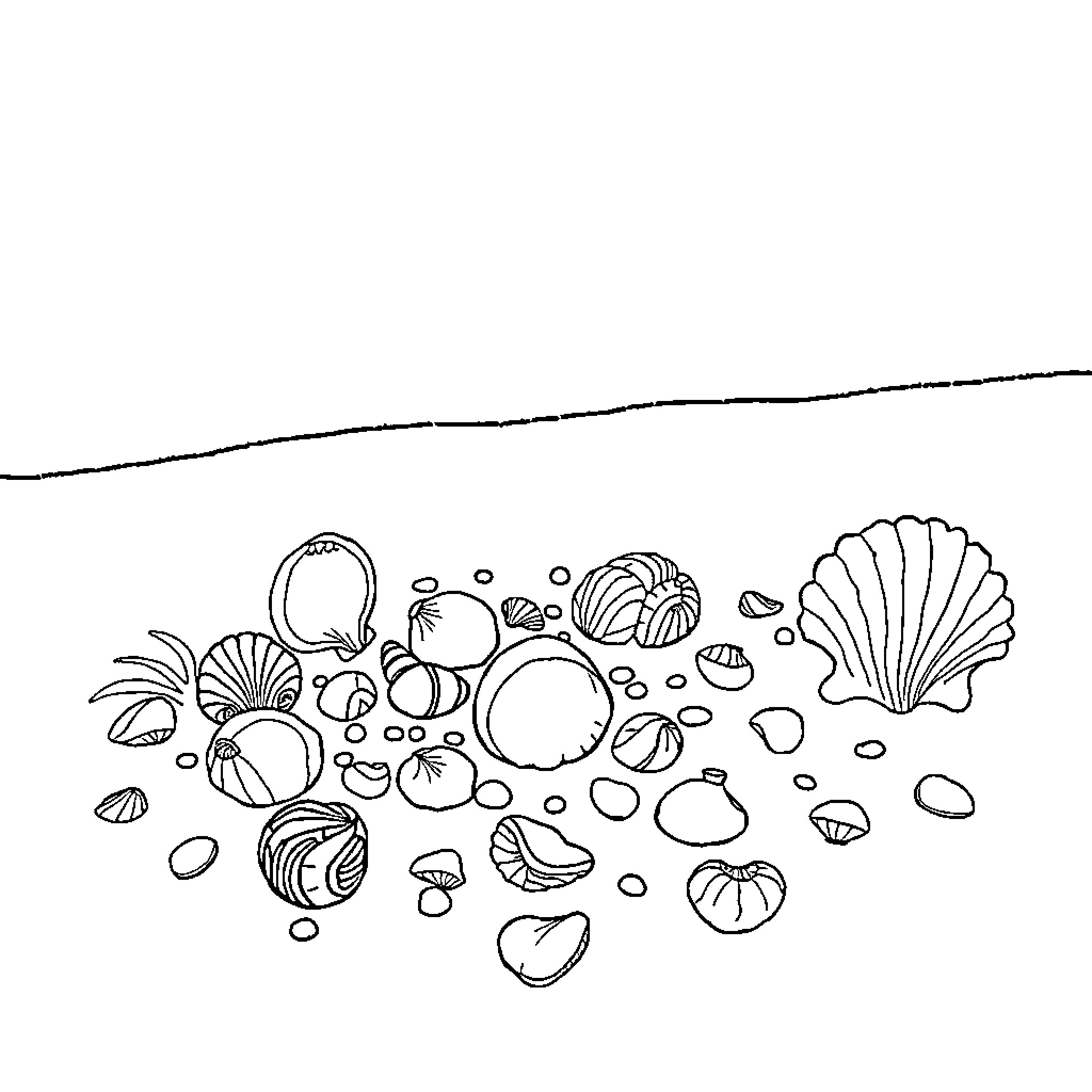 Seashells scattered along the beach Coloring Page (free black-and-white line drawing printable PDF for all, from beginners to advanced learners, including children, teens, adults, and seniors)