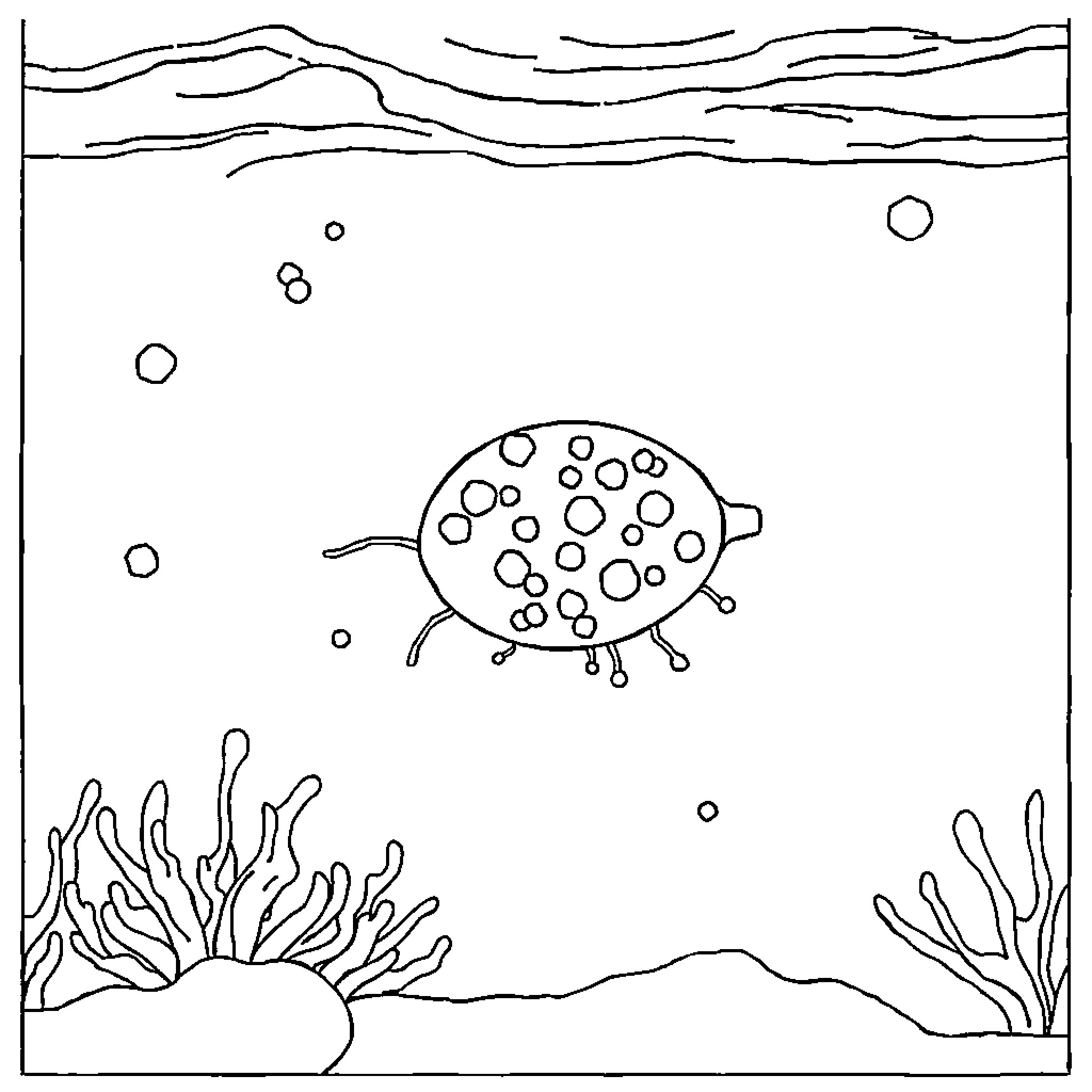 Phytoplankton floating in the ocean Coloring Page (free black-and-white line drawing printable PDF for all, from beginners to advanced learners, including children, teens, adults, and seniors)