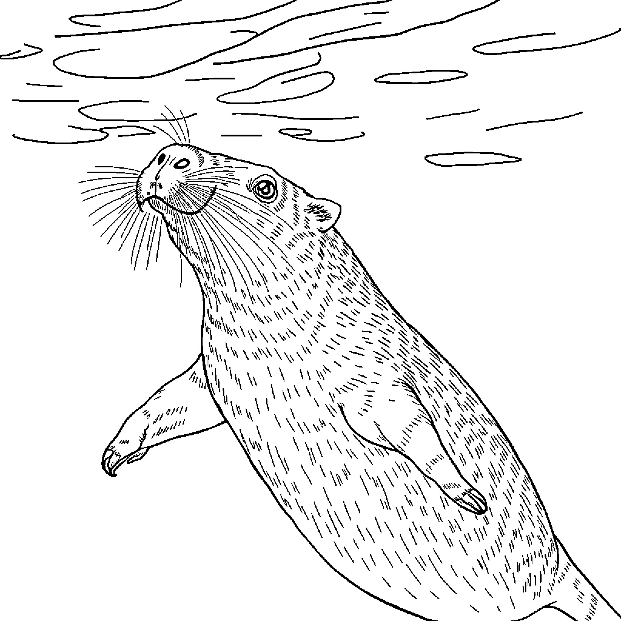 Capybara resting peacefully in nature Coloring Page (free black-and-white line drawing printable PDF for all, from beginners to advanced learners, including children, teens, adults, and seniors)