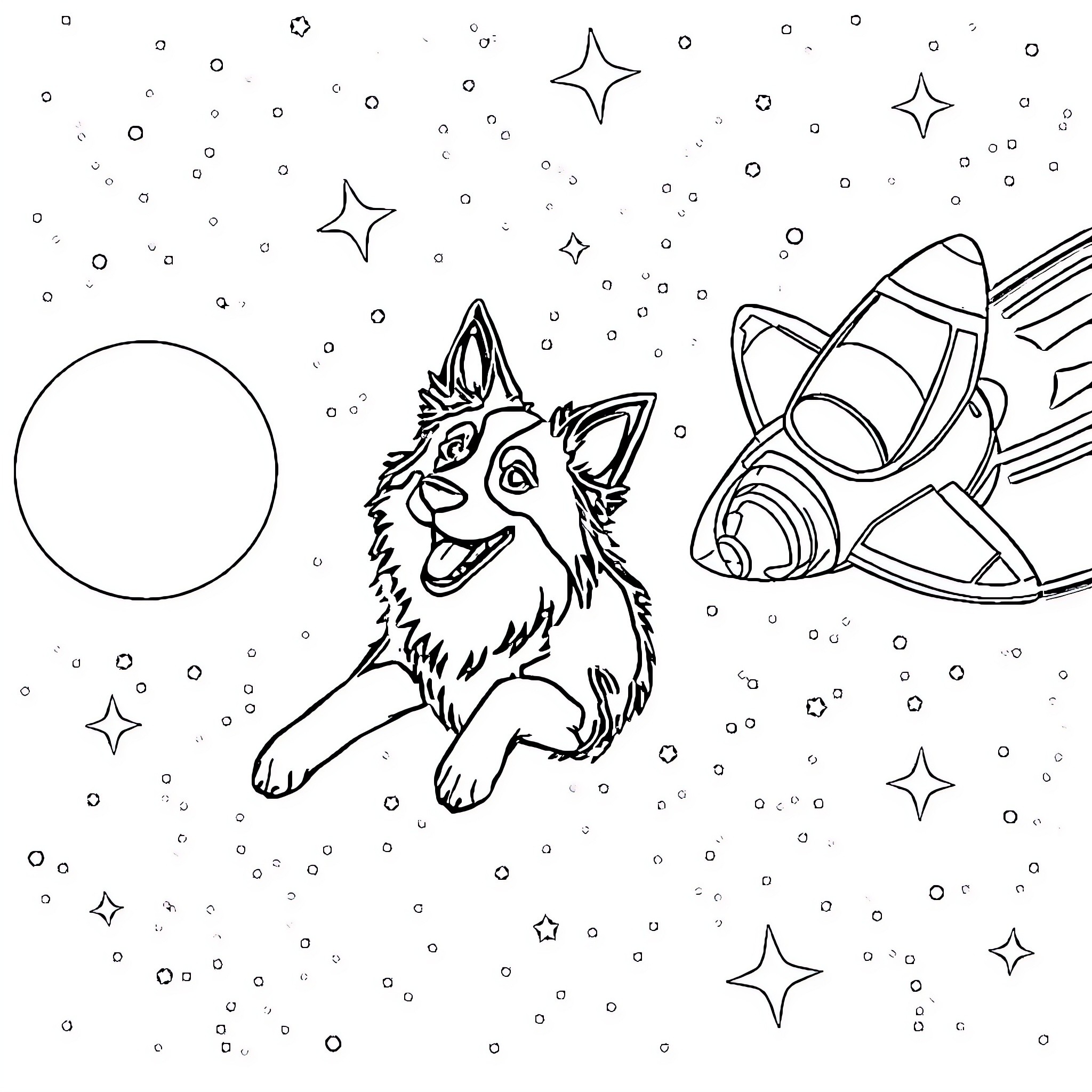 Border Collie playing joyfully in the starry night Coloring Page (free black-and-white line drawing printable PDF for all, from beginners to advanced learners, including children, teens, adults, and seniors)