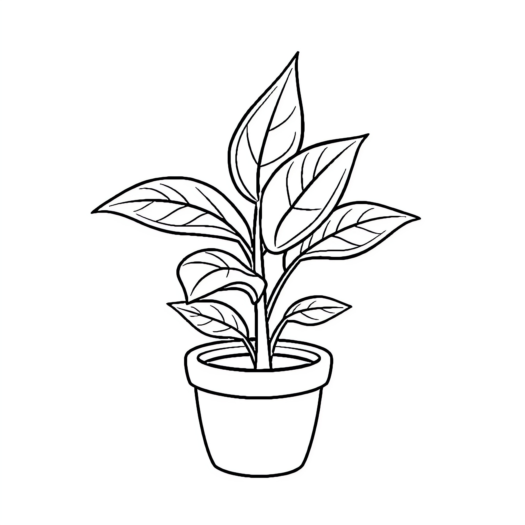 Plant with lush foliage in a pot Coloring Page (free black-and-white line drawing printable PDF for all, from beginners to advanced learners, including children, teens, adults, and seniors)