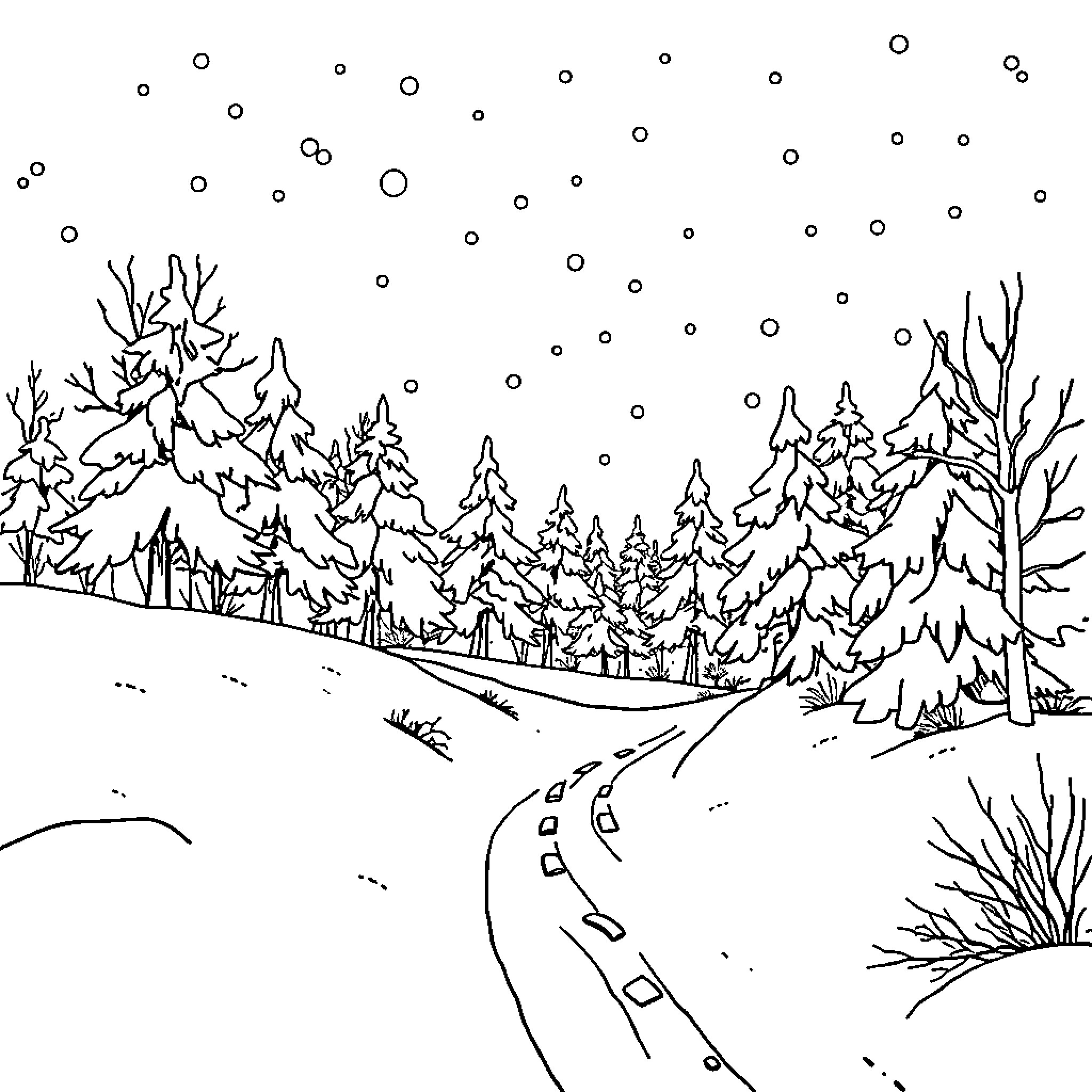 Winter Wonderland - Snowy Forest Landscape Coloring Page (free black-and-white line drawing printable PDF for all, from beginners to advanced learners, including children, teens, adults, and seniors)