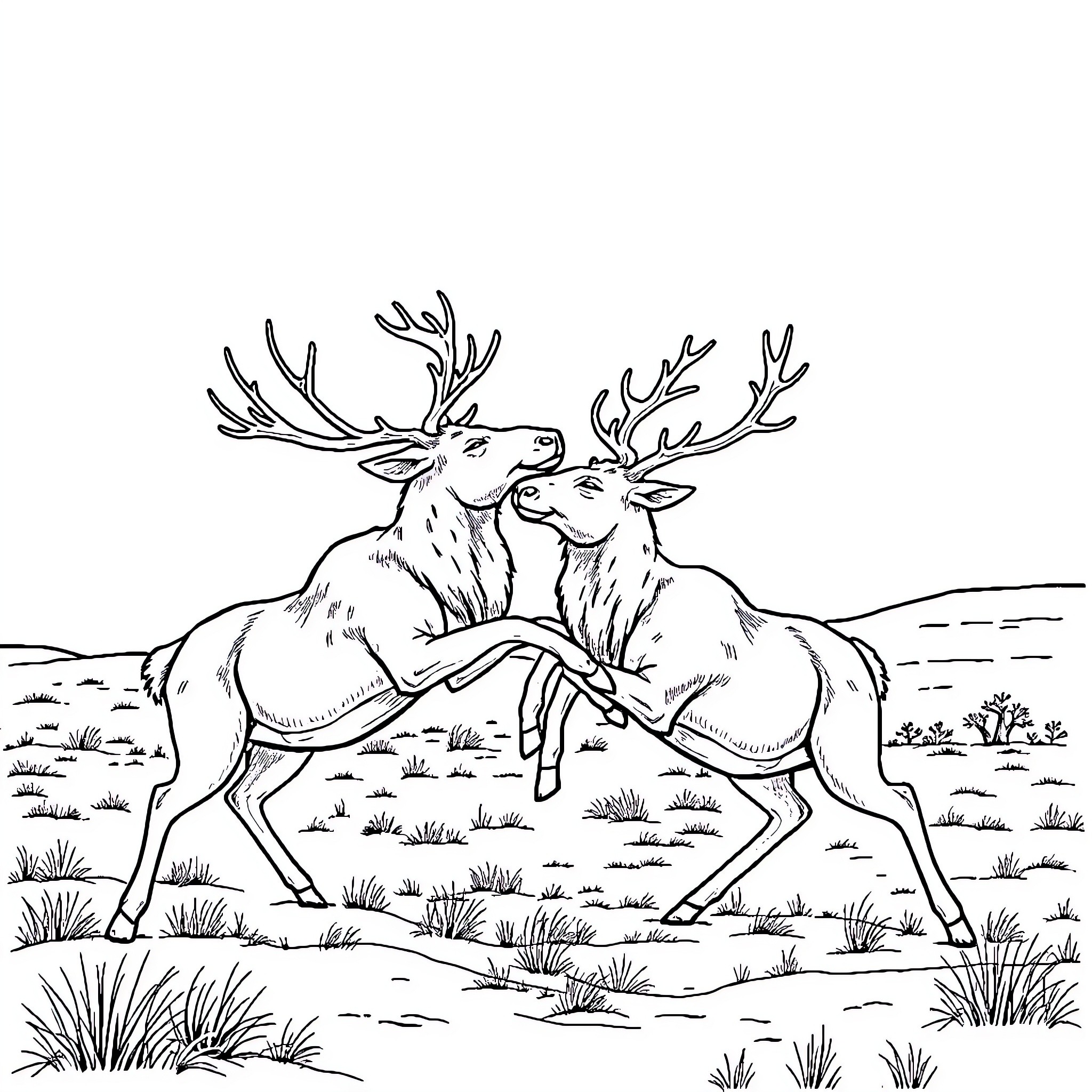 Reindeer nuzzling affectionately in natural setting Coloring Page (free black-and-white line drawing printable PDF for all, from beginners to advanced learners, including children, teens, adults, and seniors)