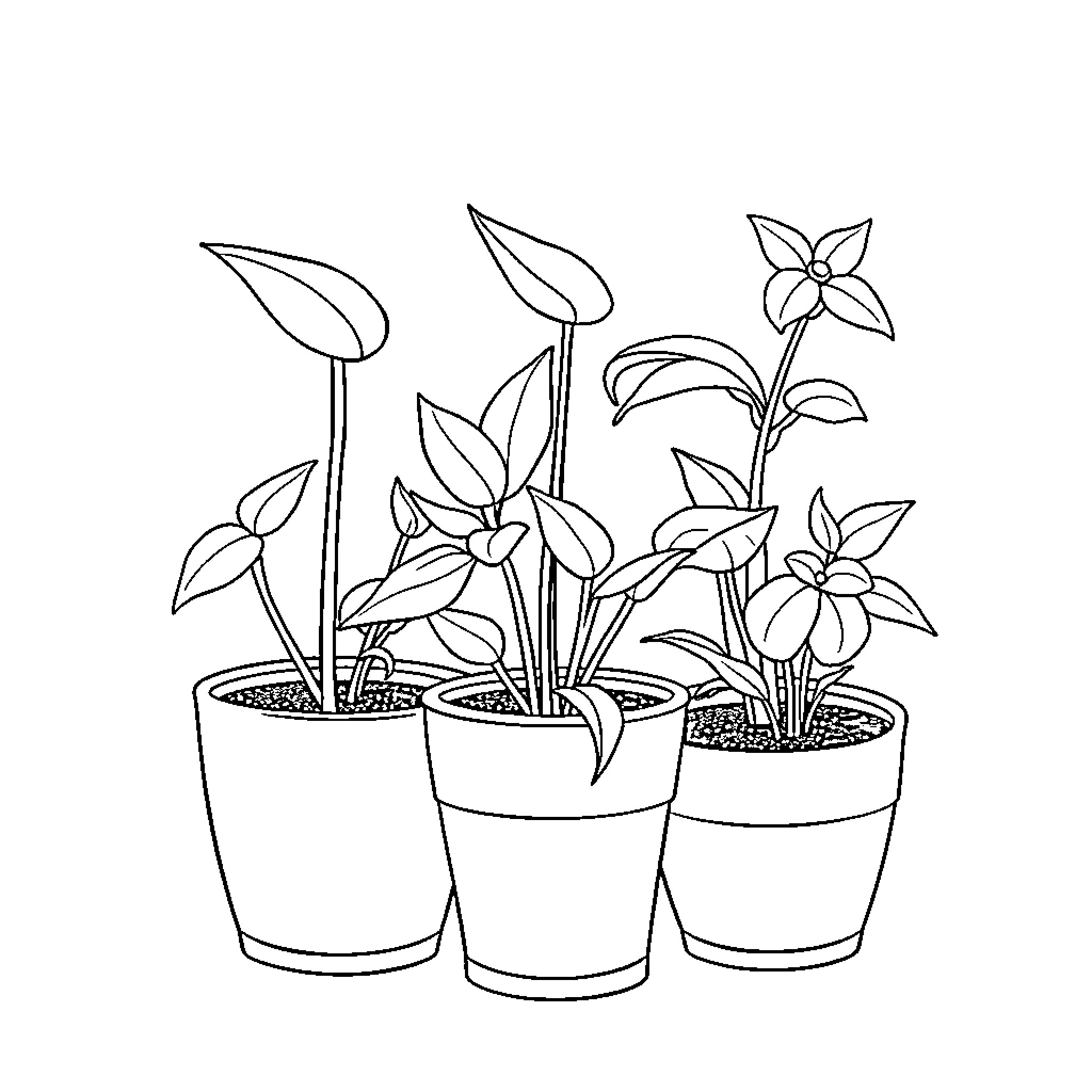Plant Life Flourishing in Pots Coloring Page (free black-and-white line drawing printable PDF for all, from beginners to advanced learners, including children, teens, adults, and seniors)