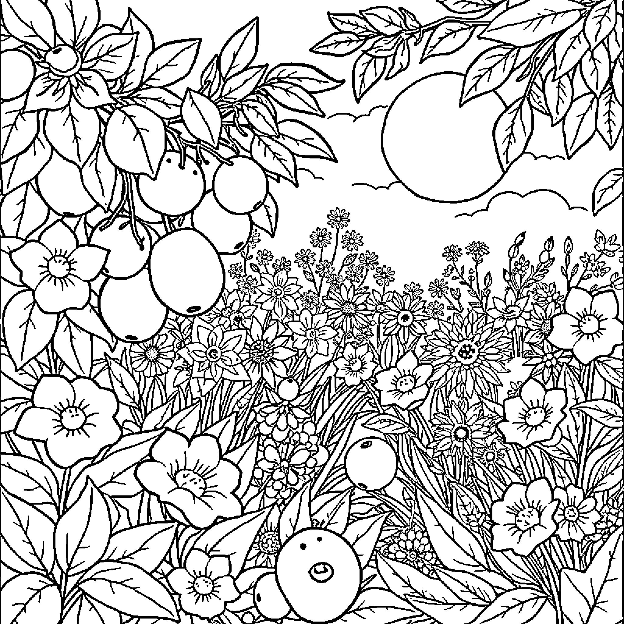 Summer Garden of Vibrant Flowers and Foliage Coloring Page (free black-and-white line drawing printable PDF for all, from beginners to advanced learners, including children, teens, adults, and seniors)