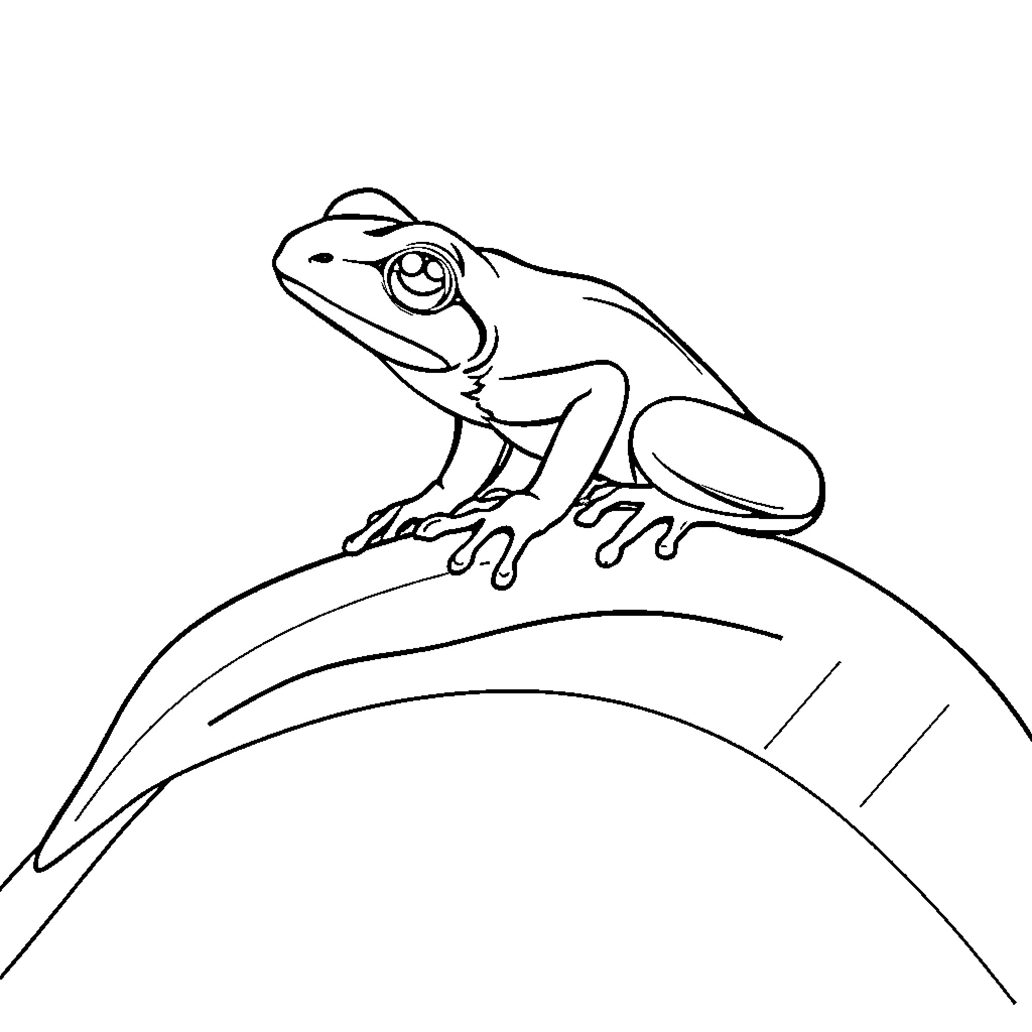 Coqui frog perched on a leaf Coloring Page (free black-and-white line drawing printable PDF for all, from beginners to advanced learners, including children, teens, adults, and seniors)