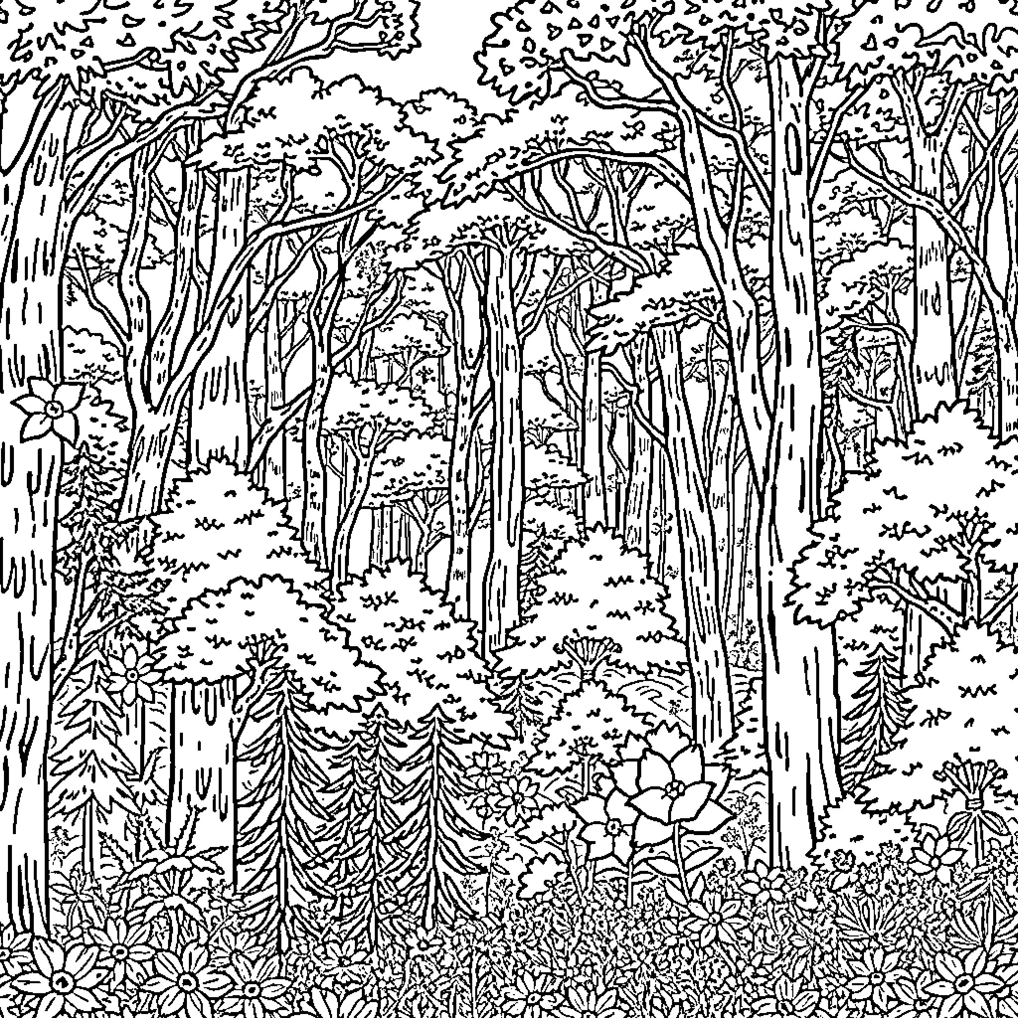 Forest Filled with Intricate Details and Foliage Coloring Page (free black-and-white line drawing printable PDF for all, from beginners to advanced learners, including children, teens, adults, and seniors)