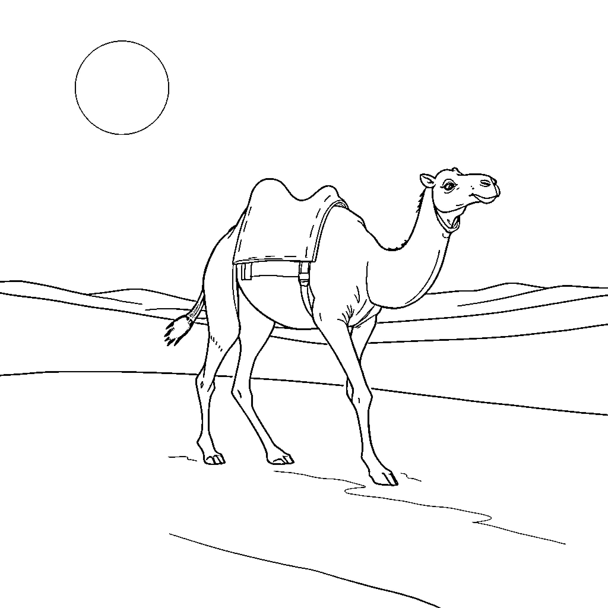 Camel crossing the desert landscape Coloring Page (free black-and-white line drawing printable PDF for all, from beginners to advanced learners, including children, teens, adults, and seniors)