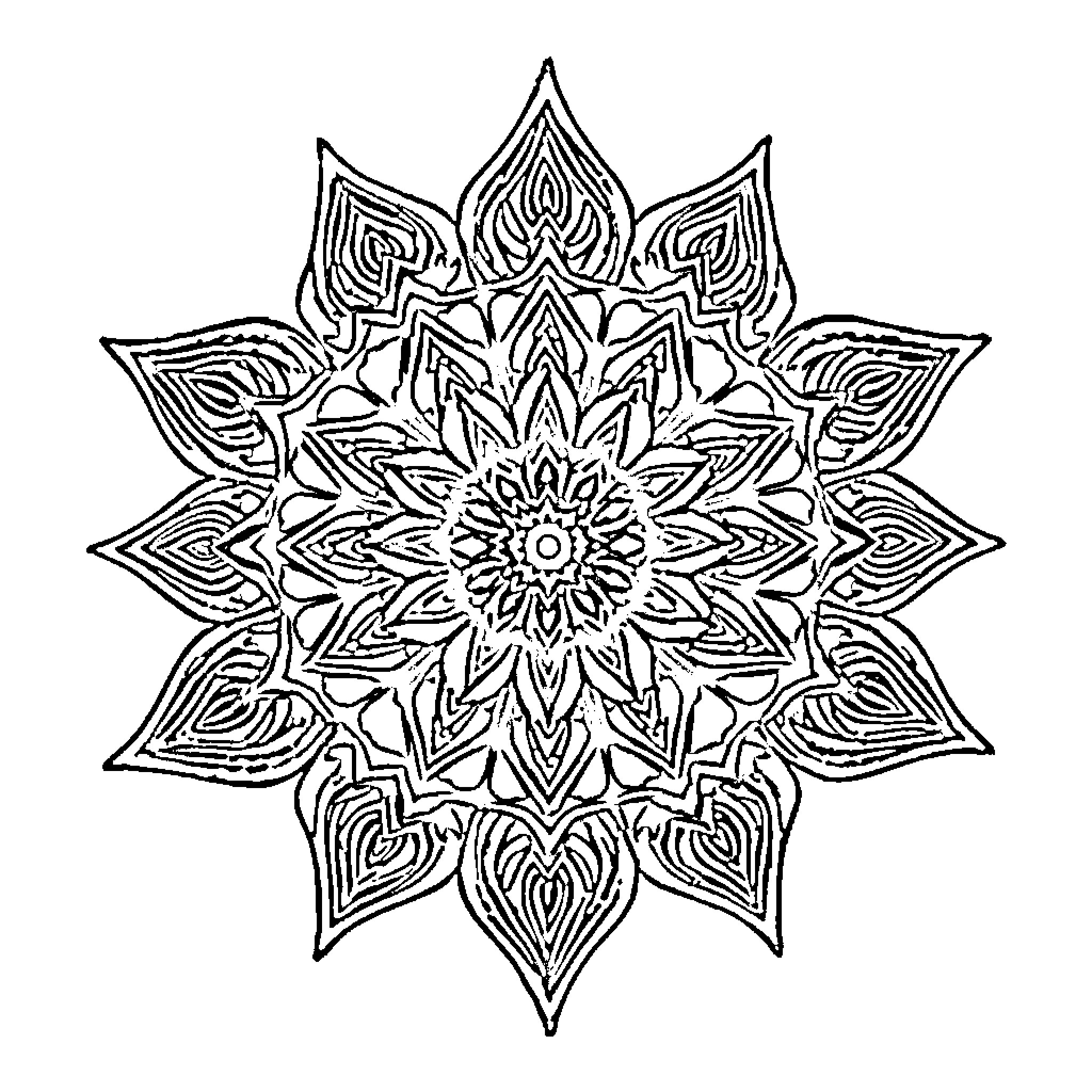 Star Mandala with Intricate Floral Patterns Coloring Page (free black-and-white line drawing printable PDF for all, from beginners to advanced learners, including children, teens, adults, and seniors)