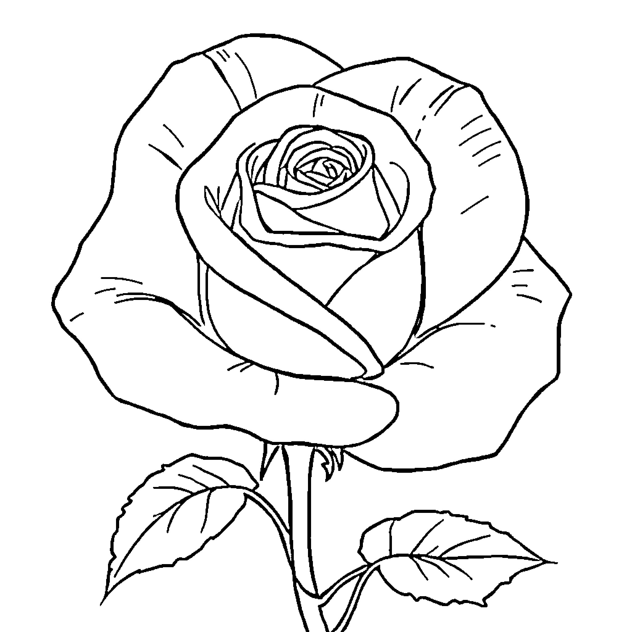 Rose sketch with detailed petals and leaves Coloring Page (free black-and-white line drawing printable PDF for all, from beginners to advanced learners, including children, teens, adults, and seniors)