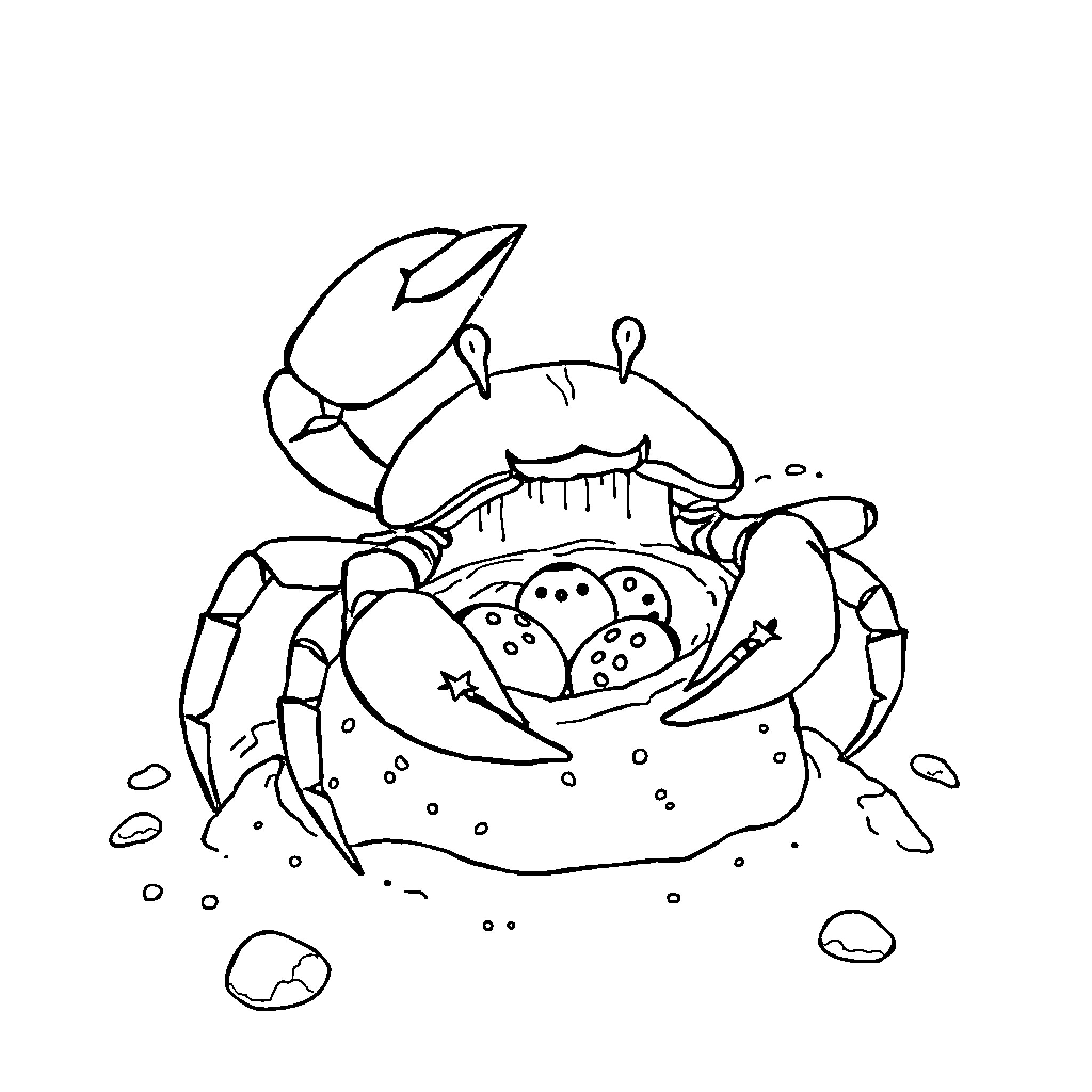 Crab exploring the seabed Coloring Page (free black-and-white line drawing printable PDF for all, from beginners to advanced learners, including children, teens, adults, and seniors)