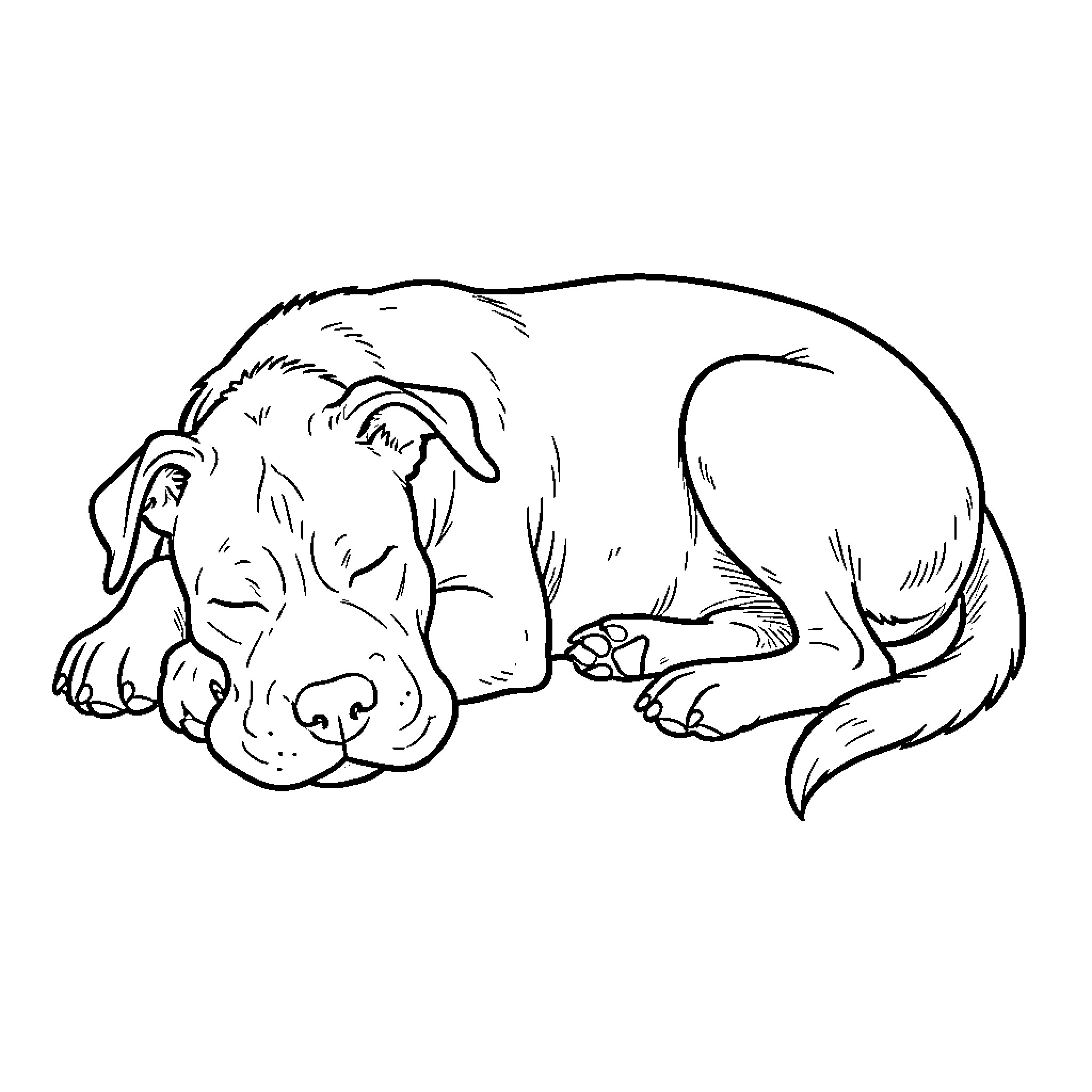 Bull Terrier resting peacefully Coloring Page (free black-and-white line drawing printable PDF for all, from beginners to advanced learners, including children, teens, adults, and seniors)