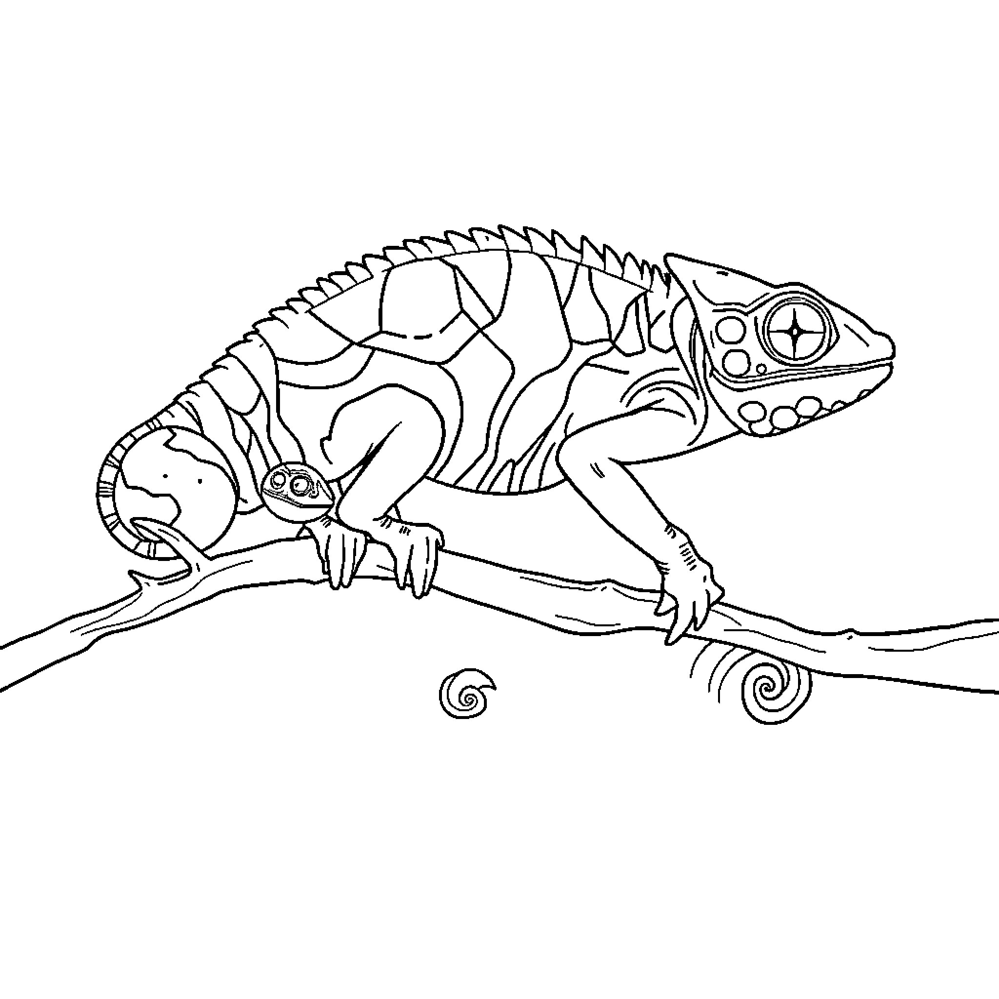 Chameleon perched on a branch Coloring Page (free black-and-white line drawing printable PDF for all, from beginners to advanced learners, including children, teens, adults, and seniors)