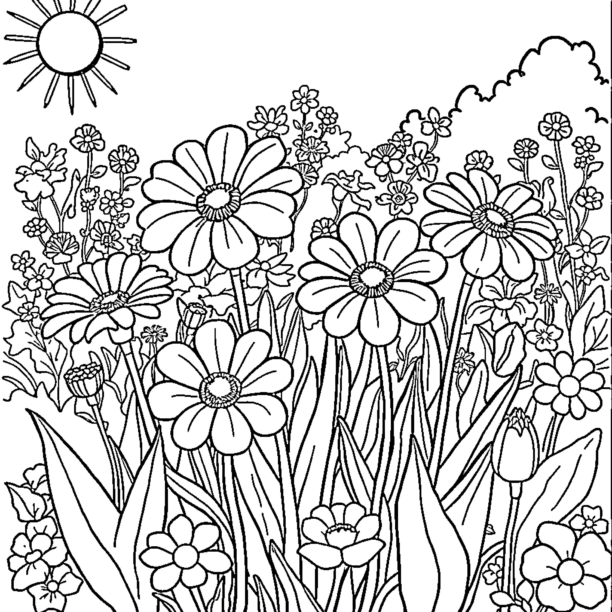 Flower Garden with Blooming Flowers Coloring Page (free black-and-white line drawing printable PDF for all, from beginners to advanced learners, including children, teens, adults, and seniors)