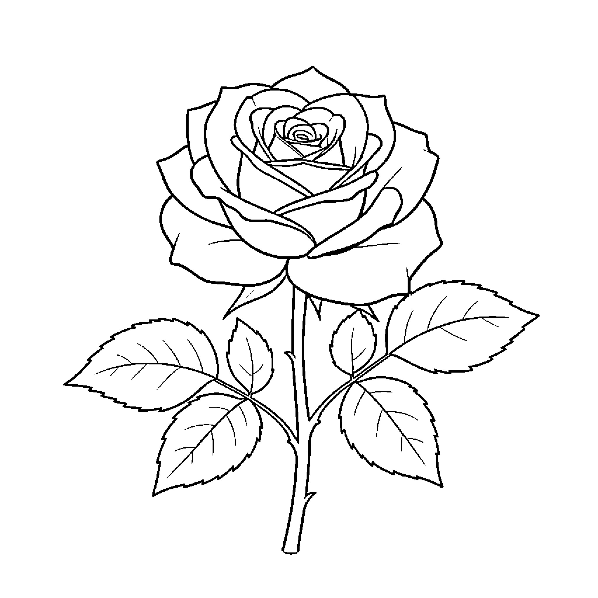 Rose blooming elegantly with leaves on a stem Coloring Page (free black-and-white line drawing printable PDF for all, from beginners to advanced learners, including children, teens, adults, and seniors)