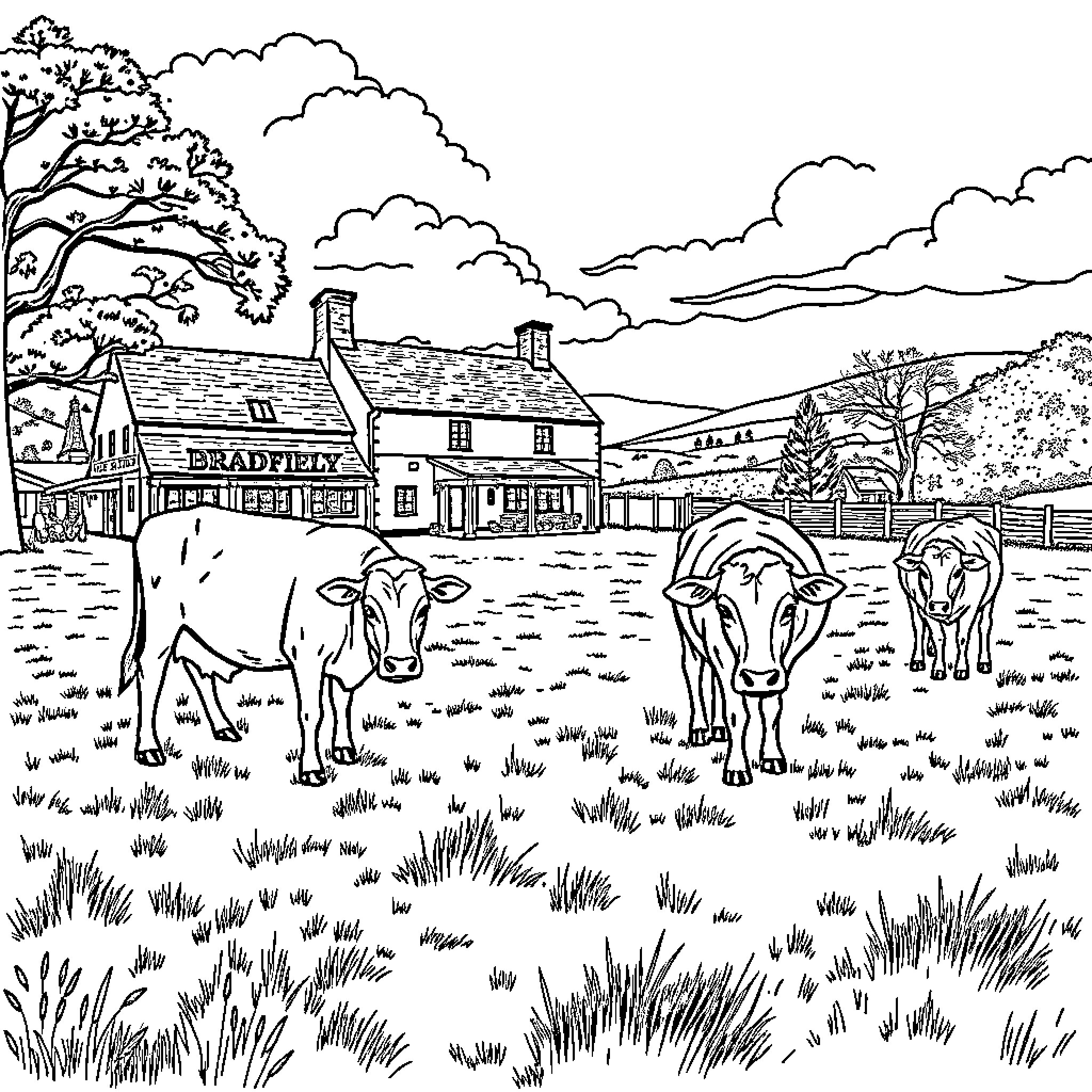 Cow grazing peacefully in a rural countryside setting Coloring Page (free black-and-white line drawing printable PDF for all, from beginners to advanced learners, including children, teens, adults, and seniors)