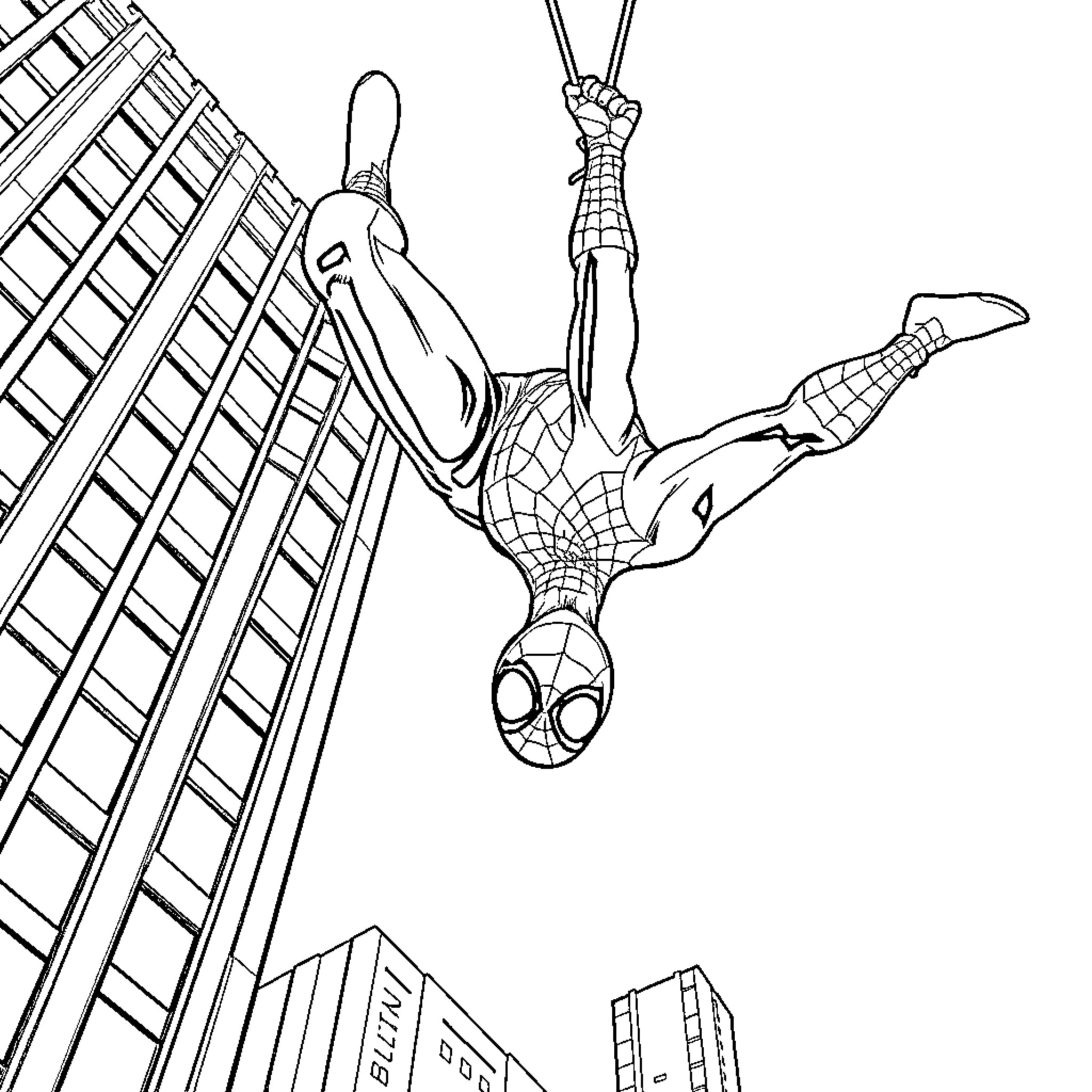 Spiderman swinging between skyscrapers in action Coloring Page (free black-and-white line drawing printable PDF for all, from beginners to advanced learners, including children, teens, adults, and seniors)
