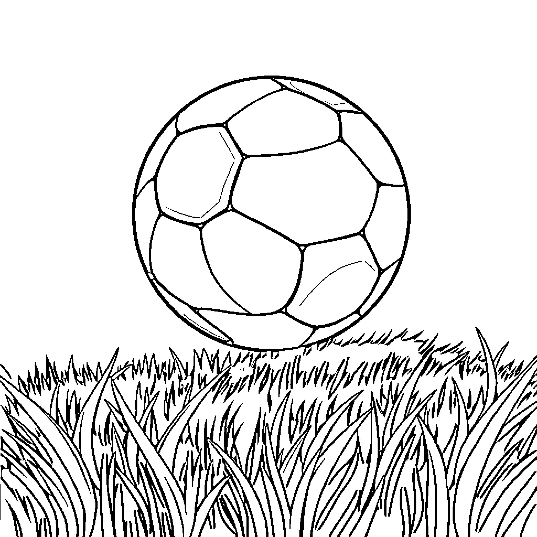 Ball resting on grassy field Coloring Page (free black-and-white line drawing printable PDF for all, from beginners to advanced learners, including children, teens, adults, and seniors)
