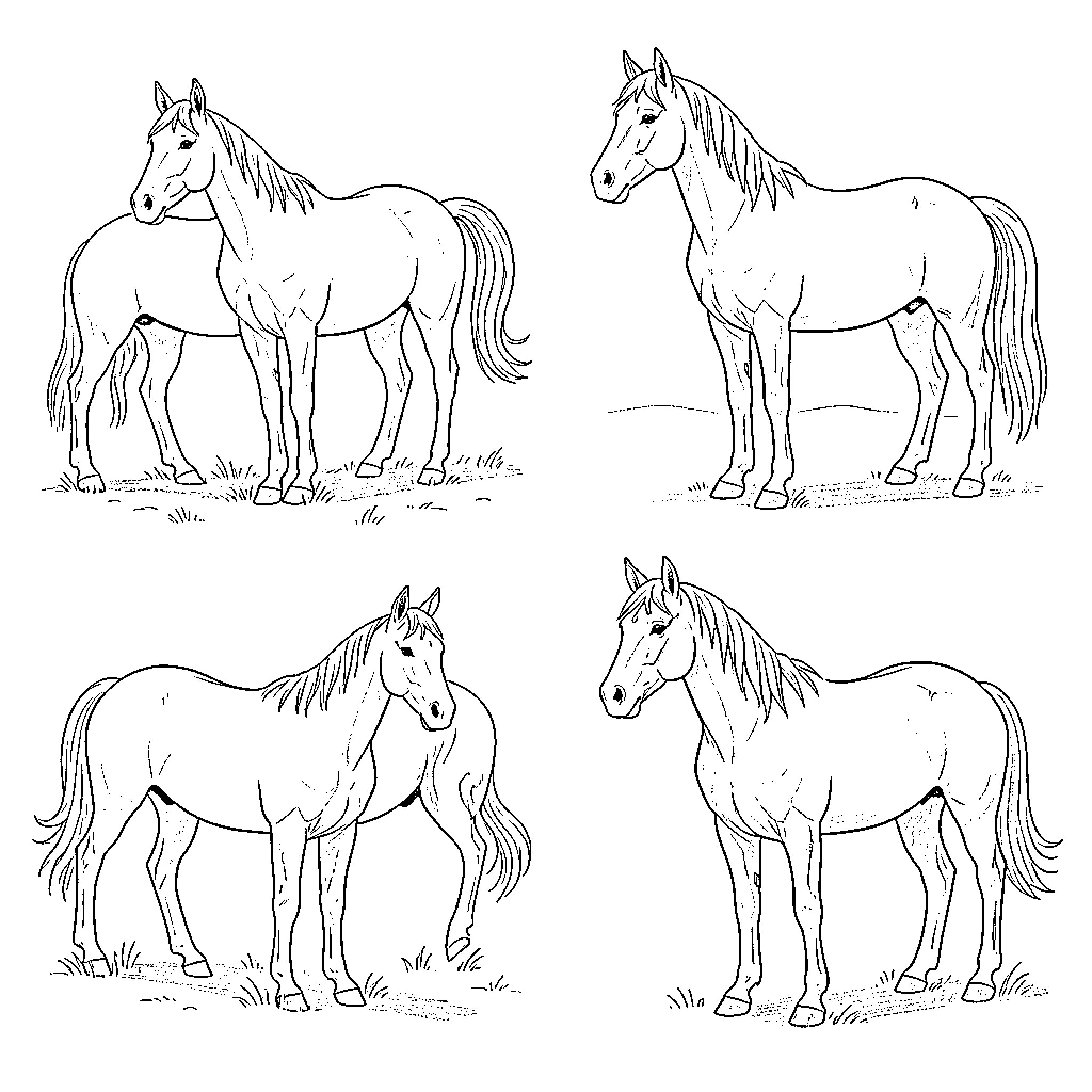 Horse standing calmly in various graceful poses Coloring Page (free black-and-white line drawing printable PDF for all, from beginners to advanced learners, including children, teens, adults, and seniors)