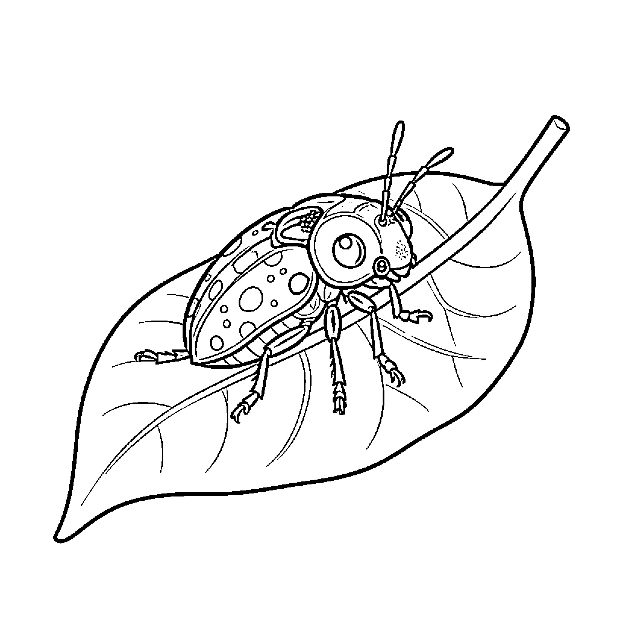 Ladybug resting peacefully on a leaf Coloring Page (free black-and-white line drawing printable PDF for all, from beginners to advanced learners, including children, teens, adults, and seniors)
