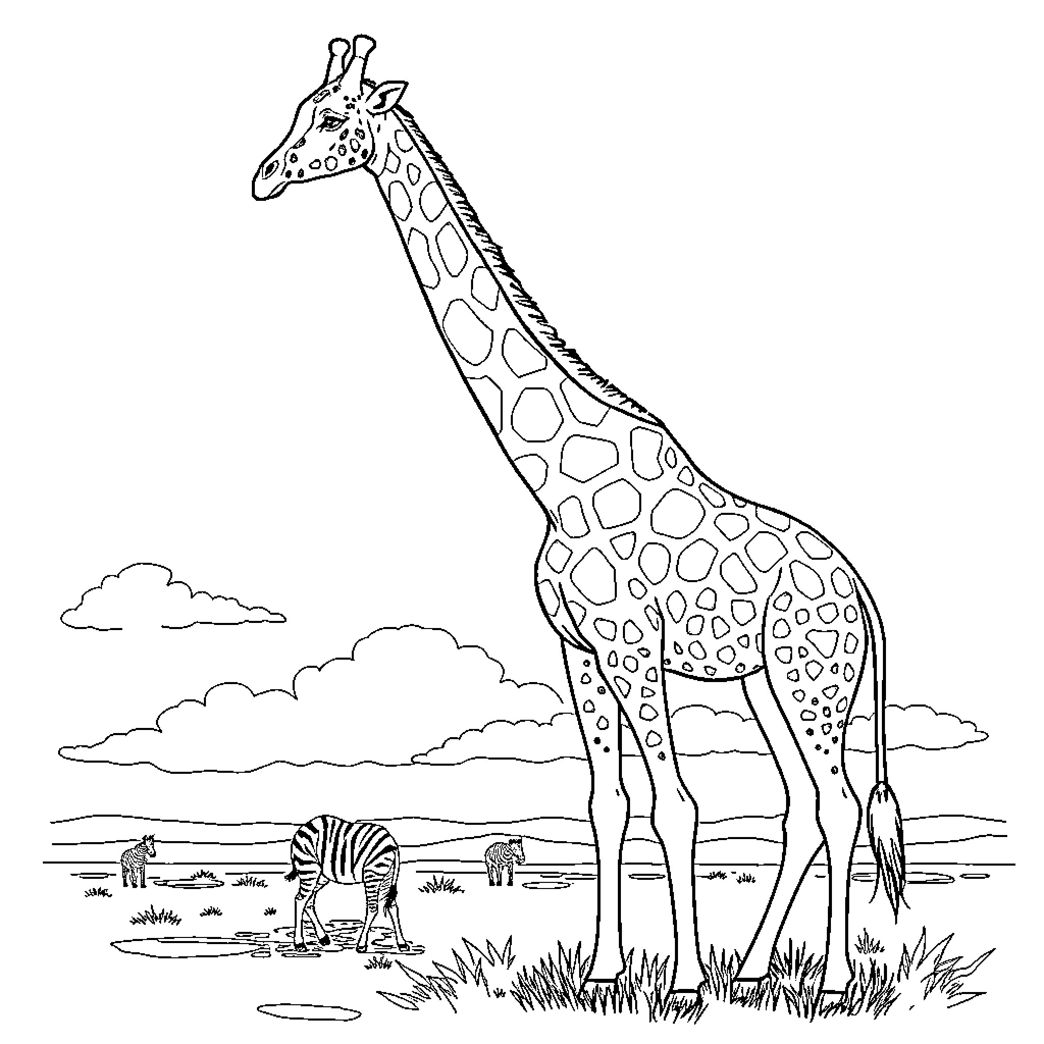 Giraffe standing tall in African savanna Coloring Page (free black-and-white line drawing printable PDF for all, from beginners to advanced learners, including children, teens, adults, and seniors)