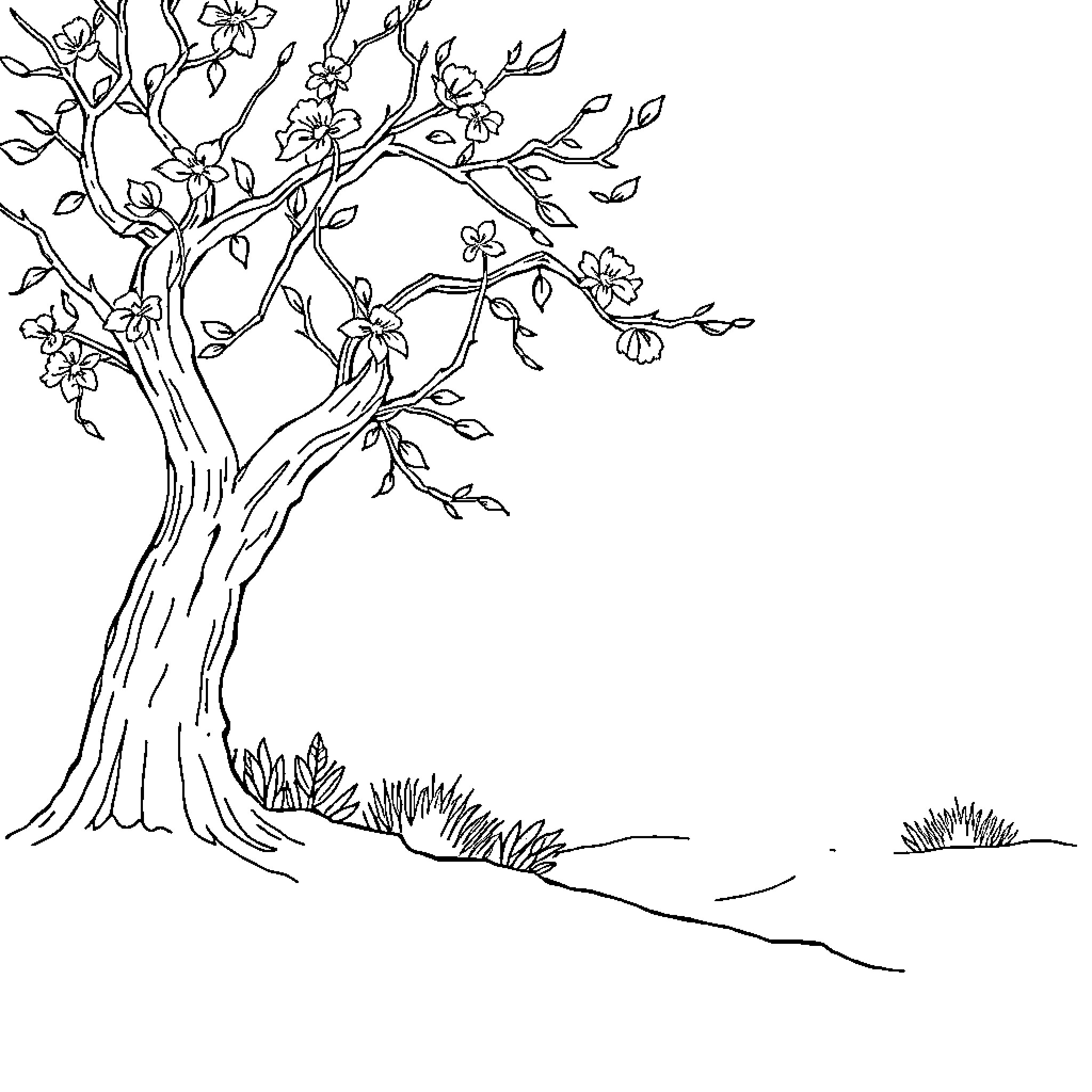 Cinderella's Blooming Tree Coloring Page (free black-and-white line drawing printable PDF for all, from beginners to advanced learners, including children, teens, adults, and seniors)
