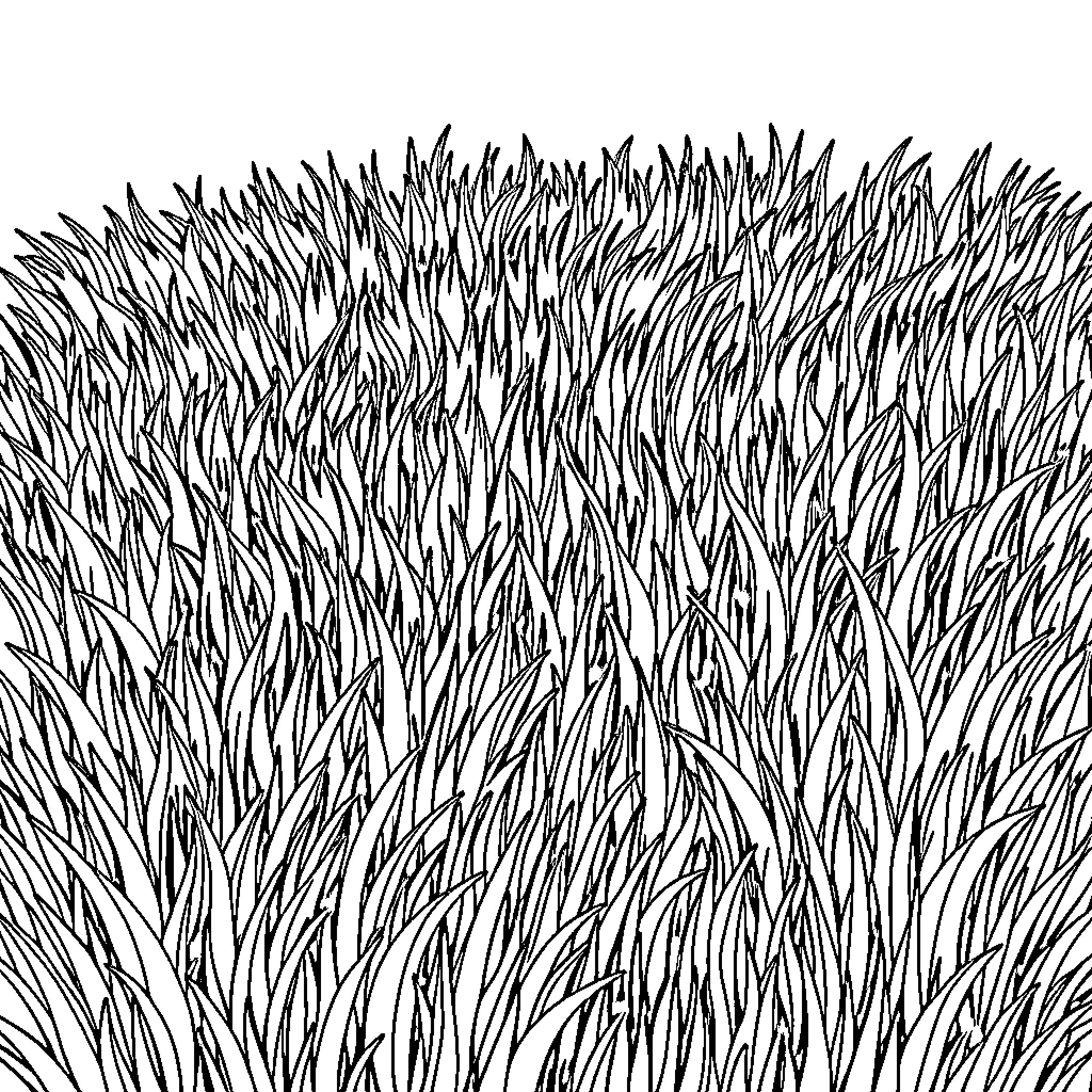 Grass abstract pattern of tangled lines Coloring Page (free black-and-white line drawing printable PDF for all, from beginners to advanced learners, including children, teens, adults, and seniors)